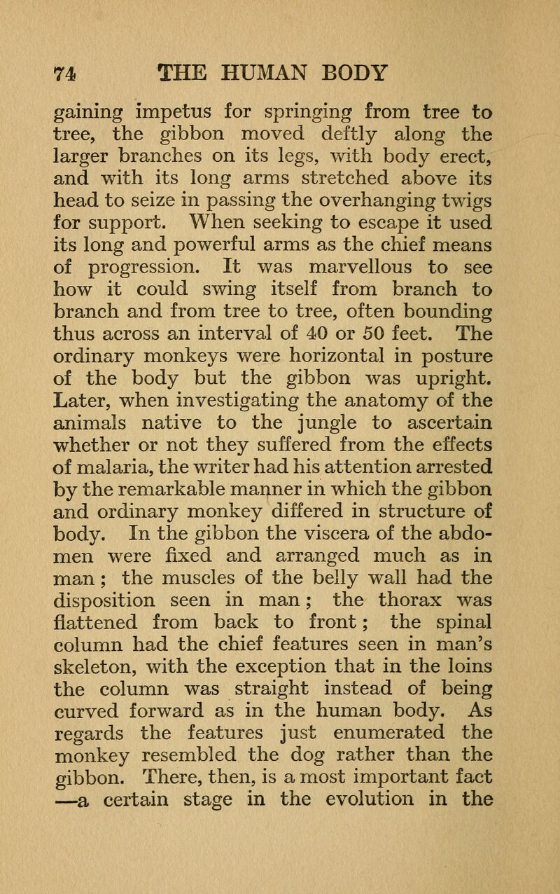 gaining impetus for springing from tree to tree, the gibbon moved deftly along the larger branches on its legs, with body erect, and with its long arms stretched above its head to seize in passing the overhanging twigs for support. When seeking to escape it used its long and powerful arms as the chief means of progression. It was marvellous to see how it could swing itself from branch to branch and from tree to tree, often bounding thus across an interval of 40 or 50 feet. The ordinary monkeys were horizontal in posture of the body but the gibbon was upright. Later, when investigating the anatomy of the animals native to the jungle to ascertain whether or not they suffered from the effects of malaria, the writer had his attention arrested by the remarkable mauner in which the gibbon and ordinary monkey differed in structure of body. In the gibbon the viscera of the abdo- men were fixed and arranged much as in man; the muscles of the belly wall had the disposition seen in man; the thorax was flattened from back to front; the spinal column had the chief features seen in man's skeleton, with the exception that in the loins the column was straight instead of being curved forward as in the human body. As regards the features just enumerated the monkey resembled the dog rather than the gibbon. There, then, is a most important fact —Si certain stage in the evolution in the