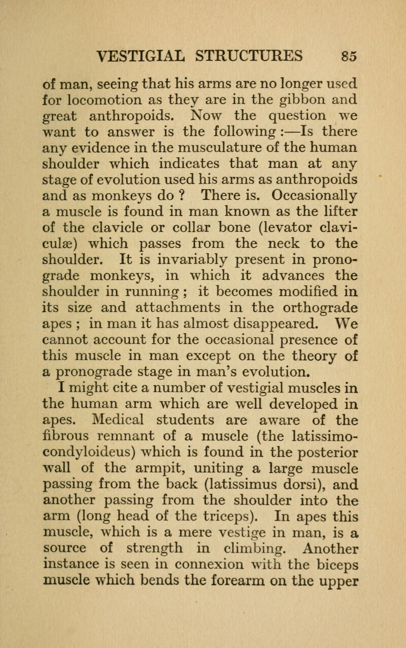 of man, seeing that his arms are no longer used for locomotion as they are in the gibbon and great anthropoids. Now the question we want to answer is the following :—Is there any evidence in the musculature of the human shoulder which indicates that man at any stage of evolution used his arms as anthropoids and as monkeys do ? There is. Occasionally a muscle is found in man known as the lifter of the clavicle or collar bone (levator clavi- culas) which passes from the neck to the shoulder. It is invariably present in prono- grade monkeys, in which it advances the shoulder in running; it becomes modified in its size and attachments in the orthograde apes ; in man it has almost disappeared. We cannot account for the occasional presence of this muscle in man except on the theory of a pronograde stage in man's evolution. I might cite a number of vestigial muscles in the human arm which are well developed in apes. Medical students are aware of the fibrous remnant of a muscle (the latissimo- condyloideus) which is found in the posterior wall of the armpit, uniting a large muscle passing from the back (latissimus dorsi), and another passing from the shoulder into the arm (long head of the triceps). In apes this muscle, which is a mere vestige in man, is a source of strength in climlDing. Another instance is seen in connexion with the biceps muscle which bends the forearm on the upper