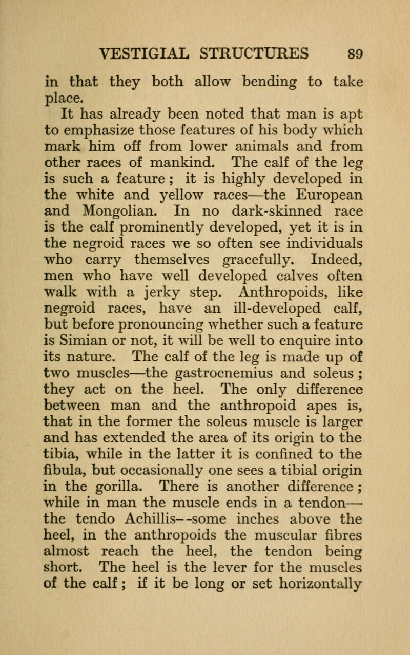 in that they both allow bending to take place. It has already been noted that man is apt to emphasize those features of his body which mark him off from lower animals and from other races of mankind. The calf of the leg is such a feature ; it is highly developed in the white and yellow races—the European and Mongolian. In no dark-skinned race is the calf prominently developed, yet it is in the negroid races we so often see individuals who carry themselves gracefully. Indeed, men who have well developed calves often walk with a jerky step. Anthropoids, like negroid races, have an ill-developed calf, but before pronouncing whether such a feature is Simian or not, it will be well to enquire into its nature. The calf of the leg is made up of two muscles—the gastrocnemius and soleus ; they act on the heel. The only difference between man and the anthropoid apes is, that in the former the soleus muscle is larger and has extended the area of its origin to the tibia, while in the latter it is confined to the fibula, but occasionally one sees a tibial origin in the gorilla. There is another difference; while in man the muscle ends in a tendon—■ the tendo Achillis--some inches above the heel, in the anthropoids the muscular fibres almost reach the heel, the tendon being short. The heel is the lever for the muscles of the calf; if it be long or set horizontally