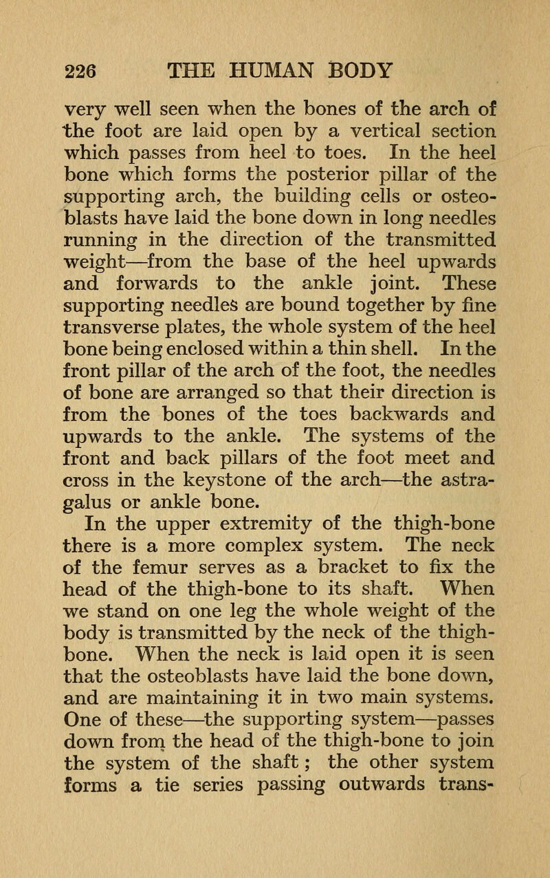 very well seen when the bones of the arch of the foot are laid open by a vertical section which passes from heel to toes. In the heel bone which forms the posterior pillar of the supporting arch, the building cells or osteo- blasts have laid the bone down in long needles running in the direction of the transmitted weight—^from the base of the heel upwards and forwards to the ankle joint. These supporting needles are bound together by fine transverse plates, the whole system of the heel bone being enclosed within a thin shell. In the front pillar of the arch of the foot, the needles of bone are arranged so that their direction is from the bones of the toes backwards and upwards to the ankle. The systems of the front and back pillars of the foot meet and cross in the keystone of the arch—the astra- galus or ankle bone. In the upper extremity of the thigh-bone there is a more complex system. The neck of the femur serves as a bracket to fix the head of the thigh-bone to its shaft. When we stand on one leg the whole weight of the body is transmitted by the neck of the thigh- bone. When the neck is laid open it is seen that the osteoblasts have laid the bone down, and are maintaining it in two main systems. One of these—^the supporting system—passes down frorn the head of the thigh-bone to join the system of the shaft; the other system forms a tie series passing outwards trans-