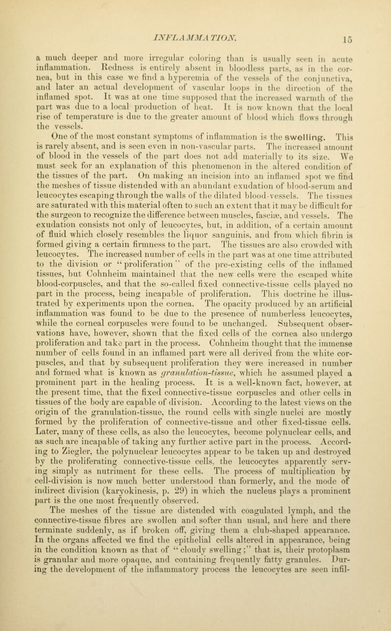 a much deeper and more irregular coloring than is usually seen in acute inflammation. Redness is entirely absent in bloodless parts, as in the cor- nea, but in this case we find a hyperemia of the vessels of the conjunctiva, and later an actual development of vascular loops in the direction of the inflamed spot. It was at one time su])posed that the increased warmth of the part was due to a local production of heat. It is now known that the local rise of temperature is due to the greater amount of blood which flows throu'^h the vessels. One of the most constant symptoms of inflammation is the swelling. This is rarely absent, and is seen even in non-vascular parts. The increase<l amount of blood in the vessels of the part does not add materially to its size. We must seek for an explanation of this phenomenon in the altered condition of the tissues of the part. On making an incision into an inflamed spot we find the meshes of tissue distended with an abundant exudation of blood-serum and leucocytes escaping through the walls of the dilated blood-vessels. The tissues are saturated with this material often to such an extent that it may be difticult for the surgeon to recognize the difference between muscles, fasciie, and vessels. The exudation consists not only of leucocytes, but, in addition, of a certain amount of fluid which closely resembles the liquor sanguinis, and from which fibrin is formed giving a certain firmness to the part. The tissues are also crowded with leucocytes. The increased number of cells in the part was at one time attributed to the division or proliferation of the pre-existing cells of tlie inflamed tissues, but Cohnheim maintained tliat the new cells were the escaped Avhite blood-corpuscles, and that the so-called fixed connective-tissue cells played no part in the process, being incapable of proliferation. This doctrine he illus- trated by experiments upon the cornea. The opacity produced by an artificial inflammation was found to be due to the presence of numberless leucocytes, while the corneal corpuscles were found to be unchanged. Subsequent obser- vations have, however, shown that the fixed cells of the cornea also undergo proliferation and take part in the process. Cohnheim thought that the immense number of cells found in an inflamed part were all derived from the white cor- puscles, and that by subsequent proliferation they were increased in number and formed what is known as granulation-tissue^ which he assumed played a prominent part in the healing process. It is a well-known fact, however, at the present time, that the fixed connective-tissue corpuscles and other cells in tissues of the body are capable of division. According to the latest views on the origin of the granulation-tissue, the round cells with single nuclei are mostly formed by the proliferation of connective-tissue and other fixed-tissue cells. Later, many of these cells, as also the leucocytes, become polynuclear cells, and as such are incapable of taking any further active part in the process. Accord- ing to Ziegler, the polynuclear leucocytes appear to be taken up and destroyed by the proliferating connective-tissue cells, the leucocytes apparently serv- ing simply as nutriment for these cells. The process of multiplication by cell-division is now much better understood than formerly, and the mode of indirect division (karyokinesis, p. 29) in which the nucleus plays a prominent part is the one most frequently observed. The meshes of the tissue are distended with coagulated lymph, and the connective-tissue fibres are swollen and softer than usual, and here and there terminate suddenly, as if broken off, giving them a club-shaped appearance. In the organs aflected we find the epithelial cells altered in appearance, being in the condition known as that of cloudy swelling; that is, their protoplasm is granular and more opaque, and containing frequently fatty granules. Dur- ing the development of the inflammatory process the leucocytes are seen infil-