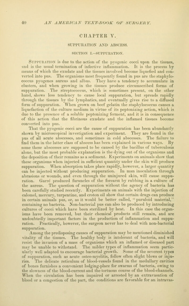 CHAPTER V. SUPPURATION AND ABSCESS. SECTION I—SUPPURATION. Suppuration is due to the action of the pyogenic cocci upon the tissues, •ind is the usual termination of infective infianiniation. It is the process by means of which the exudate and the tissues involved become liquefied and con- verted into pus. The organisms most frequently found in pus are the staphylo- coccus pyogenes aureus and albus. They have a tendency to accumulate in clusters, and when growing in the tissues produce circumscribed forms of sup];uration. The streptococcus, which is sometiuies present, on the other hand, shows less tendency to cause local suppuration, but spreads rapidly through the tissues by the lymphatics, and eventually gives rise to a diffused form of suppuration. When grown on beef gelatin the staphylococcus causes a liquefaction of the culture medium in virtue of its peptonizing action, which is due to the presence of a soluble peptonizing ferment, and it is in consequence of this action that the fibrinous exudate and the inflamed tissues become converted into pus. That the pyogenic cocci are the cause of suppuration has been abundantly shown by microscopical investigation and experiment. They are found in the pus of all acute abscesses, and sometimes in cold abscesses. The failure to find them in the latter class of abscess has been explained in various ways. By some these abscesses are supposed to be caused by the bacillus of tuberculosis alone, but the most probable explanation is the dying out of the organisms and the deposition of their remains as a sediment. Experiments on animals show that these organisms when injected in sufficient quantity under the skin will produce suppuration. When absorption takes place rapidly, however, a larger (juantity can be injected without producing suppuration. In man inoculation through abrasions or Avounds, and even through the uninjured skin, will cause suppu- ration. Garre produced furuncles of the forearm by rubbing in a culture of the aureus. The question of suppuration without the agency of bacteria has been carefully studied recently. Ex})criments on animals with the injection of calomel, mercury, turpentine, and croton oil show that certain drugs can produce in certain animals pus, or, as it would be better called,  puruloid material, containing no bacteria. Non-bacterial pus can also be produced by introducing cultures of cocci which have been sterilized by heat. In this case the organ- isms have been removed, but their chemical products still remain, and are undoubtedly important factors in the production of inflammation and suppu- ration. Practically, however, the surgeon never has to deal with non-bacterial suppuration. Among the predisposing causes of suppuration may be mentioned diminished vitality of the tissues. The healthy body is intolerant of bacteria, and will resist the invasion of a mass of organisms which an inflamed or diseased part may be unable to withstand. The milder types of inflammation seem partic- ularly well adapted to encourage bacterial growth. Some of the severest types of suppuration, such as acute osteo-myelitis, follow often slight blows or inju- ries. The delicate reticulum of blood-vessels found in the medullary cavities of bones furnishes a convenient lodging-place for swarms of bacteria, owing to the slowness of the blood-current and tlie tortuous course of the blood-channels. When the circulation has been impaired or arrested by an extravasation of blood or a congestion of the part, the conditions are favorable for an intravas-