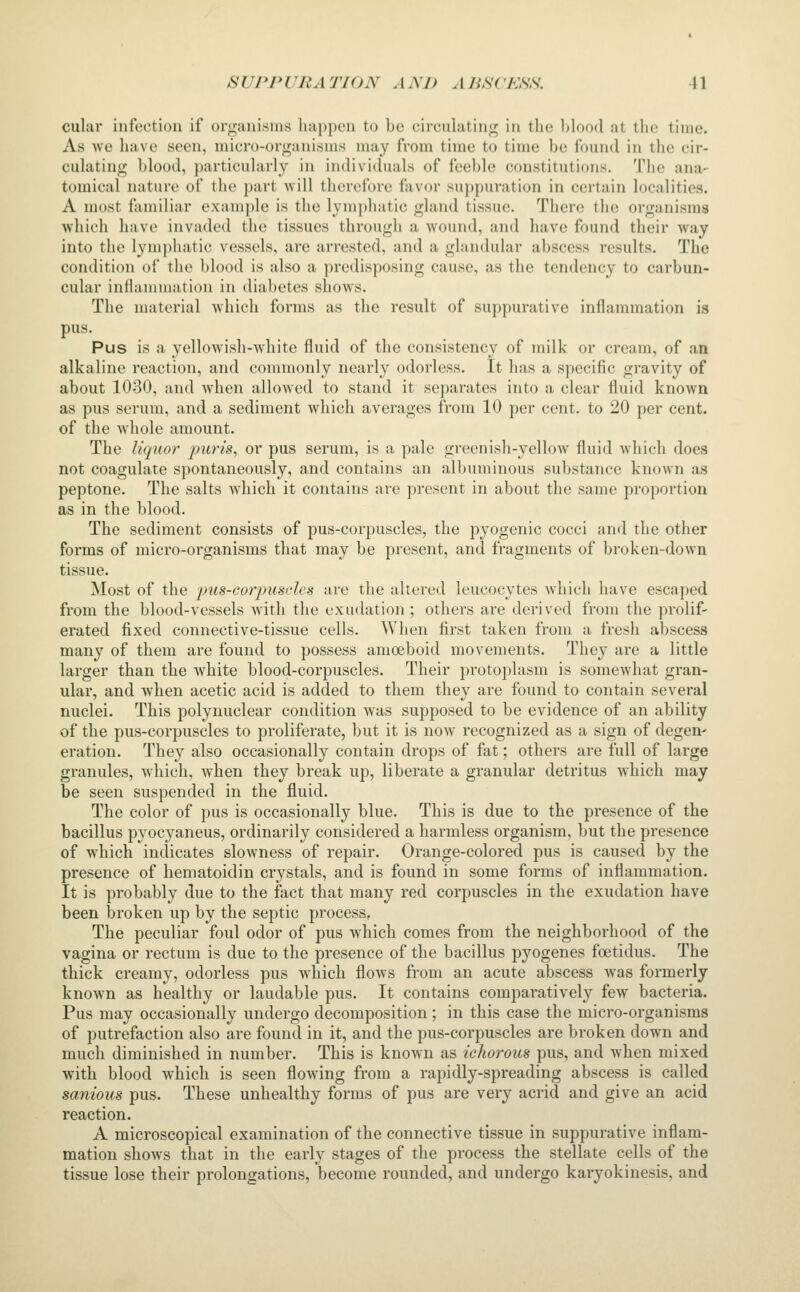 cular infection if organisms happen to be circulating in the l^lood at the time. As we have seen, micro-organisms may from time to time be found in the cir- culating blood, particularly in individuals of feeble constitutions. The ana- tomical nature of the part will therefore fjivor suppuration in certain localities. A most familiar example is the lymphatic gland tissue. There the organisms which have invaded the tissues through a wound, and have found their way into the lympliatic vessels, are arrested, and a glandular abscess results. The condition of tlie blood is also a predisposing cause, as tlie tendency to carbun- cular inlianniKition in dia])etes shows. The material which forms as the result of suppurative inflammation is pus. Pus is a yellowish-white fluid of the consistency of milk or cream, of an alkaline reaction, and commonly nearly odorless. It has a specific gravity of about 1030, and when allowed to stand it separates into a clear fluid known as pus serum, and a sediment which averages from 10 per cent, to 20 per cent, of the whole amount. The liquor puris, or pus serum, is a pale greenish-yellow fluid which does not coagulate spontaneously, and contains an albuminous substance known as peptone. The salts which it contains are present in about the same proportion as in the blood. The sediment consists of pus-corpuscles, the pyogenic cocci and the other forms of micro-organisms that may be present, and fragments of broken-down tissue. Most of the pus-corpuscles are the altered leucocytes which have escaped from the blood-vessels with the exudation; others are derived from the prolif- erated fixed connective-tissue cells. When first taken from a fresh abscess many of them are found to possess amoeboid movements. They are a little larger than the white blood-corpuscles. Their protoplasm is somewhat gran- ular, and when acetic acid is added to them they are found to contain several nuclei. This polynuclear condition was supposed to be evidence of an ability of the pus-corpuscles to proliferate, but it is now recognized as a sign of degen- eration. They also occasionally contain drops of fat; others are full of large granules, which, Avhen they break up, liberate a granular detritus Avhich may be seen suspended in the fluid. The color of pus is occasionally blue. This is due to the presence of the bacillus pyocyaneus, ordinarily considered a harmless organism, but the presence of which indicates slowness of repair. Orange-colored pus is caused by the presence of hematoidin crystals, and is found in some forms of inflammation. It is probably due to the fact that many red corpuscles in the exudation have been broken up by the septic process, The peculiar foul odor of pus which comes from the neighborhood of the vagina or rectum is due to the presence of the bacillus pyogenes foetidus. The thick creamy, odorless pus which flows from an acute abscess was formerly known as healthy or laudable pus. It contains comparatively few bacteria. Pus may occasionally undergo decomposition; in this case the micro-organisms of putrefaction also are found in it, and the pus-corpuscles are broken down and much diminished in number. This is known as ichorous pus, and Avhen mixed with blood which is seen flowing from a rapidly-spreading abscess is called sanious pus. These unhealthy forms of pus are very acrid and give an acid reaction. A microscopical examination of the connective tissue in suppurative inflam- mation shows that in the early stages of the process the stellate cells of the tissue lose their prolongations, become rounded, and undergo karyokinesis, and