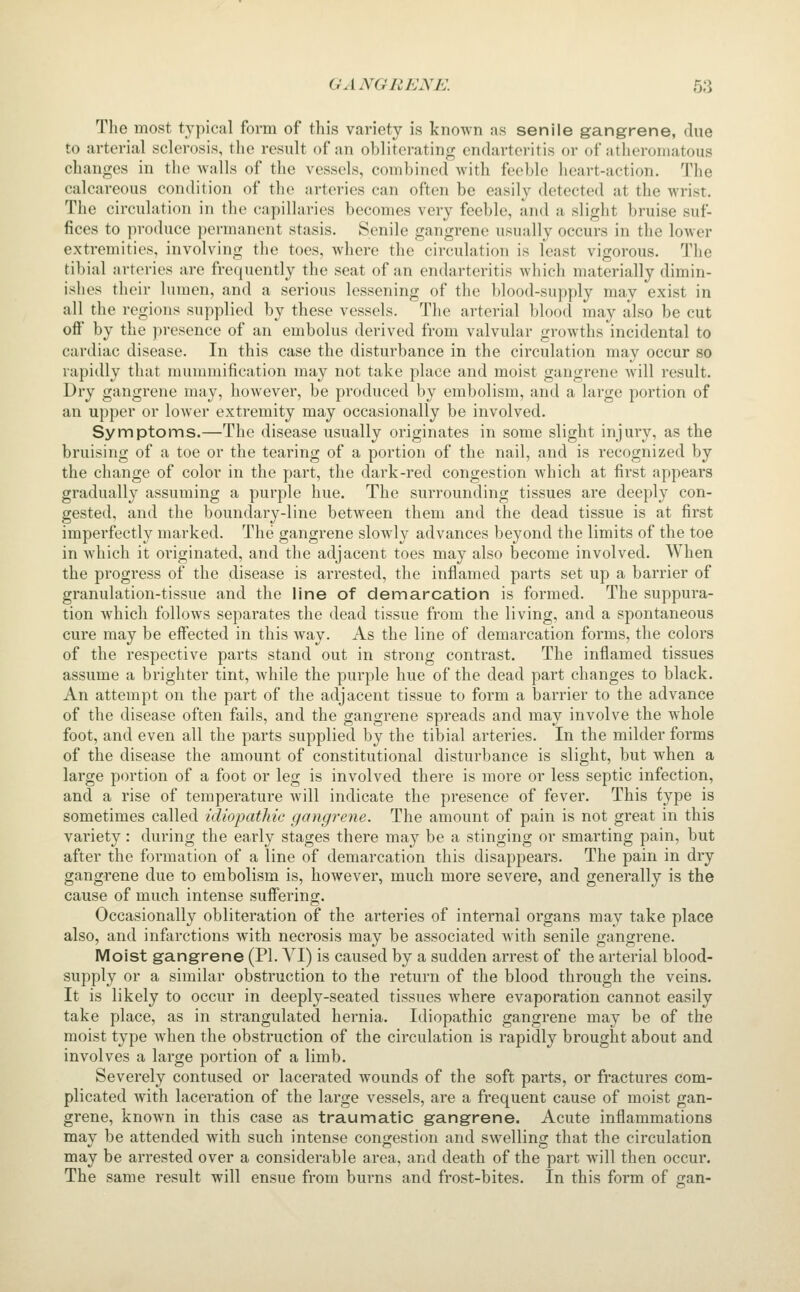 The most typical form of this variety is known as senile gangrene, due to arterial sclerosis, the result of an obliterating endarteritis or of atheromatous changes in the walls of the vessels, combined with feeble heart-action. The calcareous condition of the arteries can often be easily detected at the wrist. The circulation in the capillaries becomes very feeble, and a slight bruise suf- fices to produce permanent stasis. Senile gangrene usually occurs in the lower extremities, involving the toes, where the circulation is least vigorous. The tibial arferies are frequently the seat of an endarteritis which materially dimin- ishes their lumen, and a serious lessening of the blood-supply may exist in all the regions supplied by these vessels. The arterial blood may also be cut oft' by the presence of an embolus derived from valvular growths incidental to cardiac disease. In this case the disturbance in the circulation may occur so rapidly that mummification may not take place and moist gangrene will result. Dry gangrene may, however, be produced by embolism, and a large portion of an upper or lower extremity may occasionally be involved. Symptoms.—The disease usually originates in some slight injury, as the bruising of a toe or the tearing of a portion of the nail, and is recognized by the change of color in the part, the dark-red congestion which at first appears gradually assuming a purple hue. The surrounding tissues are deeply con- gested, and the boundary-line between them and the dead tissue is at first imperfectly marked. The gangrene slowly advances beyond the limits of the toe in which it originated, and the adjacent toes may also become involved. When the progress of the disease is arrested, the inflamed parts set up a barrier of granulation-tissue and the line of demarcation is formed. The suppura- tion which follows separates the dead tissue from the living, and a spontaneous cure may be effected in this way. As the line of demarcation forms, the colors of the respective parts stand out in strong contrast. The inflamed tissues assume a brighter tint, while the purple hue of the dead part changes to black. An attempt on the part of the adjacent tissue to form a barrier to the advance of the disease often fails, and the gangrene spreads and may involve the whole foot, and even all the parts supplied by the tibial arteries. In the milder forms of the disease the amount of constitutional disturbance is slight, but when a large portion of a foot or leg is involved there is more or less septic infection, and a rise of temperature will indicate the presence of fever. This type is sometimes called uliopathie gangrene. The amount of pain is not great in this variety: during the early stages there may be a stinging or smarting pain, but after the formation of a line of demarcation this disappears. The pain in dry gangrene due to embolism is, however, much more severe, and generally is the cause of much intense sufiering. Occasionally obliteration of the arteries of internal organs may take place also, and infarctions Avith necrosis may be associated Avith senile gangrene. Moist gangrene (PI. VI) is caused by a sudden arrest of the arterial blood- supply or a similar obstruction to the return of the blood through the veins. It is likely to occur in deeply-seated tissues where evaporation cannot easily take place, as in strangulated hernia. Idiopathic gangrene may be of the moist type when the obstruction of the circulation is rapidly brought about and involves a large portion of a limb. Severely contused or lacerated wounds of the soft parts, or fractures com- plicated with laceration of the large vessels, are a frequent cause of moist gan- grene, known in this case as traumatic gangrene. Acute inflammations may be attended with such intense congestion and swelling that the circulation may be arrested over a considerable area, and death of the part will then occur. The same result will ensue from burns and frost-bites. In this form of fran-