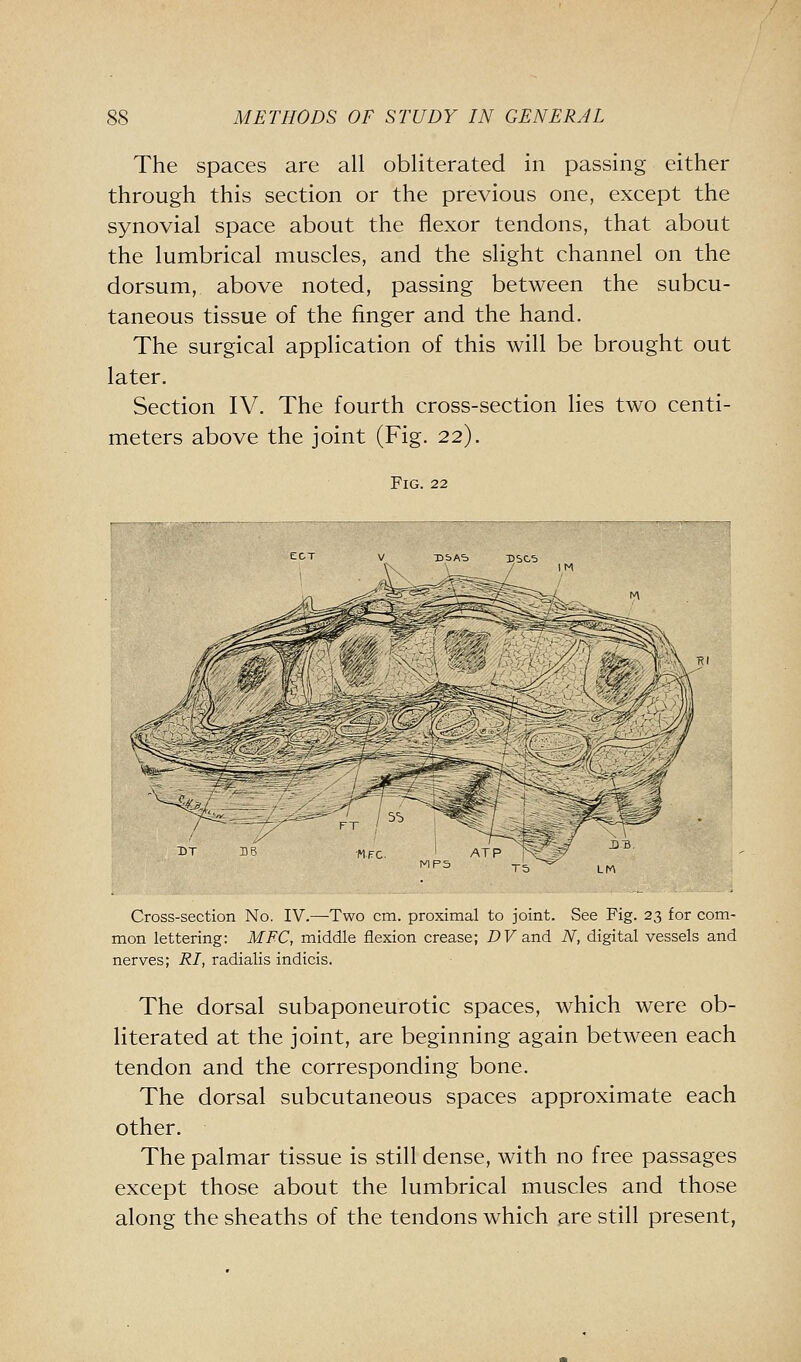 The spaces are all obliterated in passing either through this section or the previous one, except the synovial space about the flexor tendons, that about the lumbrical muscles, and the slight channel on the dorsum, above noted, passing between the subcu- taneous tissue of the finger and the hand. The surgical application of this will be brought out later. Section IV. The fourth cross-section lies two centi- meters above the joint (Fig. 22). Fig. 22 Cross-section No. IV.—Two cm. proximal to joint. See Fig. 23 for com- mon lettering: MFC, middle flexion crease; PFand N, digital vessels and nerves; RI, radialis indicis. The dorsal subaponeurotic spaces, which were ob- literated at the joint, are beginning again between each tendon and the corresponding bone. The dorsal subcutaneous spaces approximate each other. The palmar tissue is still dense, with no free passages except those about the lumbrical muscles and those along the sheaths of the tendons which are still present,