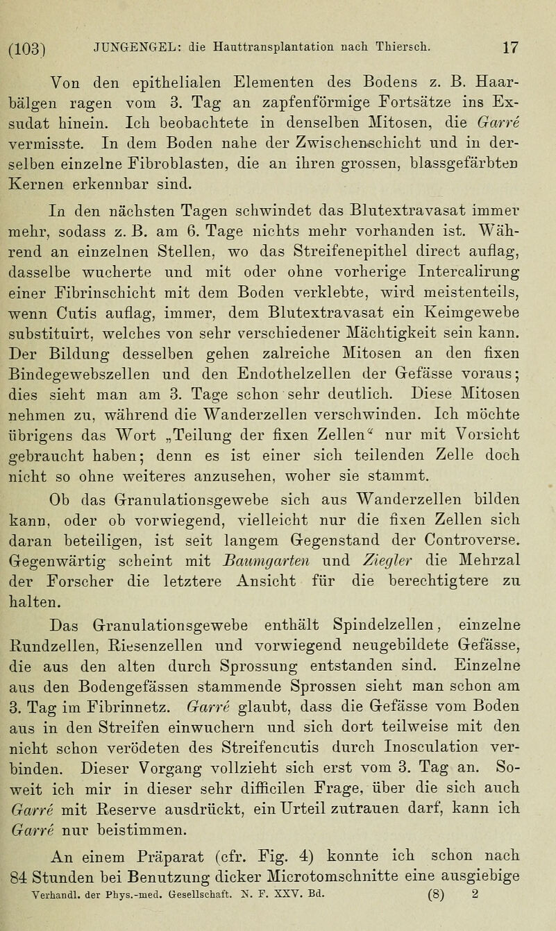 Von den epithelialen Elementen des Bodens z. B. Haar- bälgen ragen vom 3. Tag an zapfenförmige Fortsätze ins Ex- sudat hinein. Ich beobachtete in denselben Mitosen, die Garre vermisste. In dem Boden nahe der Zwischenschicht und in der- selben einzelne Fibroblasten, die an ihren grossen, blassgefärbten Kernen erkennbar sind. In den nächsten Tagen schwindet das Blutextravasat immer mehr, sodass z. B. am 6. Tage nichts mehr vorhanden ist. Wäh- rend an einzelnen Stellen, wo das Streifenepithel direct auflag, dasselbe wucherte und mit oder ohne vorherige Intercalirung einer Fibrinschicht mit dem Boden verklebte, wird meistenteils, wenn Cutis auflag, immer, dem Blutextravasat ein Keimgewebe substituirt, welches von sehr verschiedener Mächtigkeit sein kann. Der Bildung desselben gehen zalreiche Mitosen an den fixen Bindegewebszellen und den Endothelzellen der Gefässe voraus; dies sieht man am 3. Tage schon sehr deutlich. Diese Mitosen nehmen zu, während die Wanderzellen verschwinden. Ich möchte übrigens das Wort „Teilung der fixen Zellen a nur mit Vorsicht gebraucht haben; denn es ist einer sich teilenden Zelle doch nicht so ohne weiteres anzusehen, woher sie stammt. Ob das Granulationsgewebe sich aus Wanderzellen bilden kann, oder ob vorwiegend, vielleicht nur die fixen Zellen sich daran beteiligen, ist seit langem Gegenstand der Controverse. Gegenwärtig scheint mit Baumgarten und Ziegler die Mehrzal der Forscher die letztere Ansicht für die berechtigtere zu halten. Das Granulationsgewebe enthält Spindelzellen, einzelne Rundzellen, Riesenzellen und vorwiegend neugebildete Gefässe, die aus den alten durch Sprossung entstanden sind. Einzelne aus den Bodengefässen stammende Sprossen sieht man schon am 3. Tag im Fibrinnetz. Garre glaubt, dass die Gefässe vom Boden aus in den Streifen einwuchern und sich dort teilweise mit den nicht schon verödeten des Streifencutis durch Inosculation ver- binden. Dieser Vorgang vollzieht sich erst vom 3. Tag an. So- weit ich mir in dieser sehr difficilen Frage, über die sich auch Garre mit Eeserve ausdrückt, ein Urteil zutrauen darf, kann ich Garre nur beistimmen. An einem Präparat (cfr. Fig. 4) konnte ich schon nach 84 Stunden bei Benutzung dicker Microtomschnitte eine ausgiebige Verhandl. der Phys.-med. Gesellschaft. ST. F. XXV. Bd. (8) 2