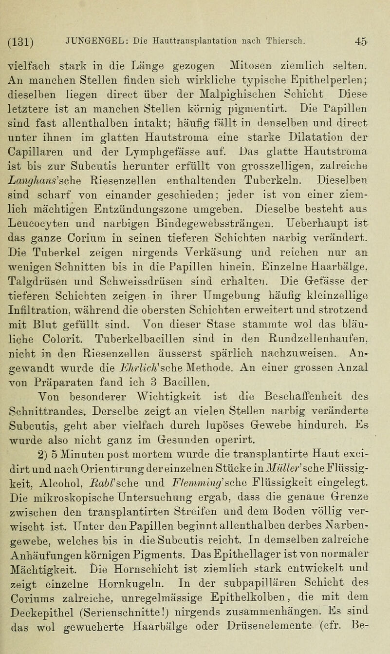 vielfach stark in die Lauge gezogen Mitosen ziemlich selten. An manchen Stellen finden sich wirkliche typische Epithelperlen; dieselben liegen direct über der Malpighischen Schicht Diese letztere ist an manchen Stellen körnig pigmentirt. Die Papillen sind fast allenthalben intakt; häufig fällt in denselben und direct unter ihnen im glatten Hautstroma eine starke Dilatation der Capillaren und der Lymphgefässe auf. Das glatte Hautstroma ist bis zur Subcutis herunter erfüllt von grosszelligen, zalreiche Langhaus'sehe Riesenzellen enthaltenden Tuberkeln. Dieselben sind scharf von einander geschieden; jeder ist von einer ziem- lich mächtigen Entzündungszone umgeben. Dieselbe besteht aus Leucocyten und narbigen Bindegewebssträngen. Ueberhaupt ist das ganze Corium in seinen tieferen Schichten narbig verändert. Die Tuberkel zeigen nirgends Verkäsung und reichen nur an wenigen Schnitten bis in die Papillen hinein. Einzelne Haarbälge. Talgdrüsen und Schweissdrüsen sind erhalten. Die Gefässe der tieferen Schichten zeigen in ihrer Umgebung häufig kleinzellige Infiltration, während die obersten Schichten erweitert und strotzend mit Blut gefüllt sind. Von dieser Stase stammte wol das bläu- liche Colorit. Tuberkelbacillen sind in den Rundzellenhaufen, nicht in den Riesenzellen äusserst spärlich nachzuweisen. An- gewandt wurde die Ehrlich'sehe Methode. An einer grossen Anzal von Präparaten fand ich 3 Bacillen. Von besonderer Wichtigkeit ist die Beschaffenheit des Schnittrandes. Derselbe zeigt an vielen Stellen narbig veränderte Subcutis, geht aber vielfach durch lupöses Gewebe hindurch. Es- wurde also nicht ganz im Gesunden operirt. 2) 5 Minuten post mortem wurde die transplantirte Haut exci- dirt und nach Orientirung der einzelnen Stücke in Müller'sehe Flüssig- keit, Alcohol, Rabl'sehe und Flemming'sehe Flüssigkeit eingelegt. Die mikroskopische Untersuchung ergab, dass die genaue Grenze zwischen den transplantirten Streifen und dem Boden völlig ver- wischt ist. Unter den Papillen beginnt allenthalben derbes Narben- gewebe, welches bis in die Subcutis reicht. In demselben zalreiche Anhäufungen körnigen Pigments. Das Epithellager ist von normaler Mächtigkeit. Die Hornschicht ist ziemlich stark entwickelt und zeigt einzelne Hornkugeln. In der subpapillären Schicht des Coriums zalreiche, unregelmässige Epithelkolben, die mit dem Deckepithel (Serienschnitte!) nirgends zusammenhängen. Es sind das wol gewucherte Haarbälge oder Drüsenelemente (cfr. Be-