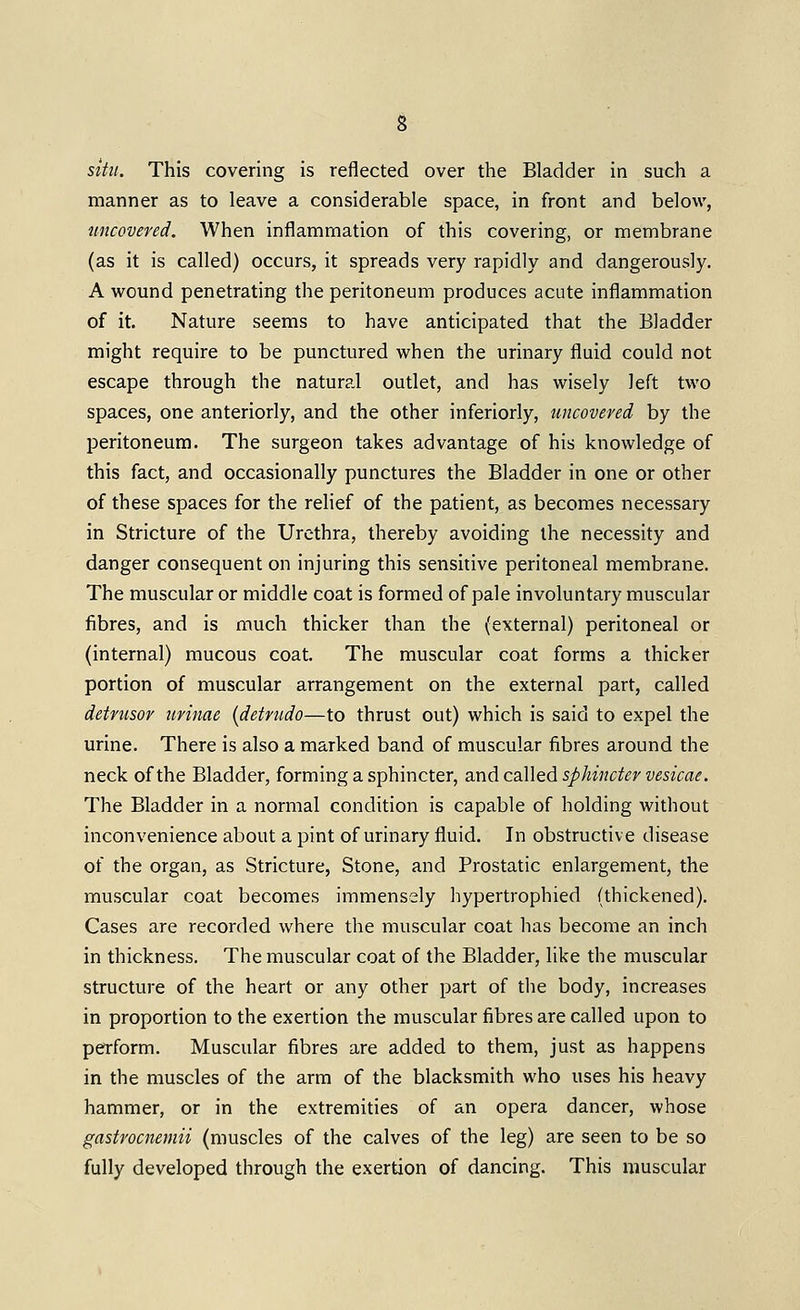 situ. This covering is reflected over the Bladder in such a manner as to leave a considerable space, in front and below, tmcovered. When inflammation of this covering, or membrane (as it is called) occurs, it spreads very rapidly and dangerously. A wound penetrating the peritoneum produces acute inflammation of it. Nature seems to have anticipated that the Bladder might require to be punctured when the urinary fluid could not escape through the natural outlet, and has wisely left two spaces, one anteriorly, and the other inferiorly, uncovered by the peritoneum. The surgeon takes advantage of his knowledge of this fact, and occasionally punctures the Bladder in one or other of these spaces for the rehef of the patient, as becomes necessary in Stricture of the Urethra, thereby avoiding the necessity and danger consequent on injuring this sensitive peritoneal membrane. The muscular or middle coat is formed of pale involuntary muscular fibres, and is much thicker than the (external) peritoneal or (internal) mucous coat. The muscular coat forms a thicker portion of muscular arrangement on the external part, called detrusor jtrinae {detrudo—to thrust out) which is said to expel the urine. There is also a marked band of muscular fibres around the neck of the Bladder, forming a sphincter, and called sphincter vesicae. The Bladder in a normal condition is capable of holding without inconvenience about a pint of urinary fluid. In obstructive disease of the organ, as Stricture, Stone, and Prostatic enlargement, the muscular coat becomes immensely hypertrophied (thickened). Cases are recorded where the muscular coat has become an inch in thickness. The muscular coat of the Bladder, like the muscular structure of the heart or any other part of the body, increases in proportion to the exertion the muscular fibres are called upon to perform. Muscular fibres are added to them, just as happens in the muscles of the arm of the blacksmith who uses his heavy hammer, or in the extremities of an opera dancer, whose gastrocnemii (muscles of the calves of the leg) are seen to be so fully developed through the exertion of dancing. This muscular