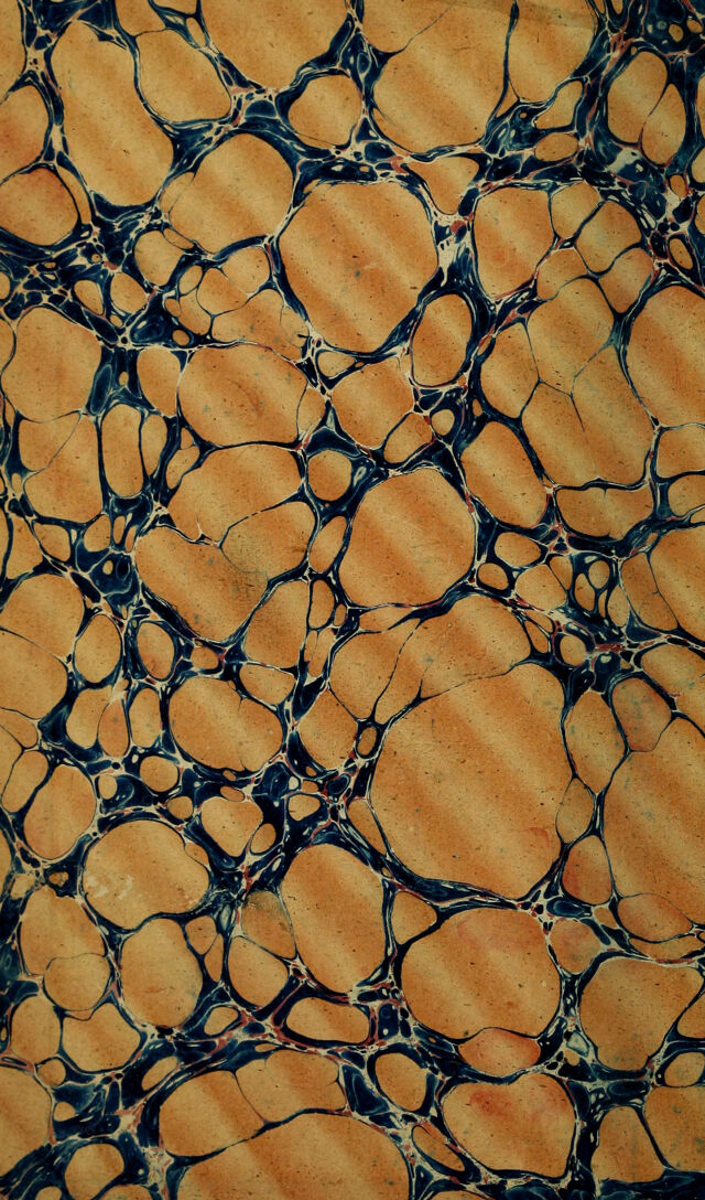 digitised image 2
