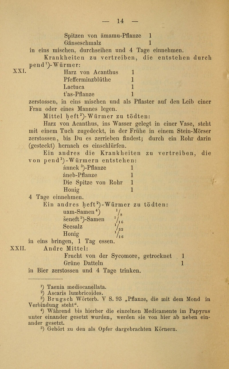 Spitzen von ämamu-Pflanze 1 Gänseschmalz 1 in eins mischen, durchseihen und 4 Tage einnehmen, Krankheiten zu vertreiben, die entstehen durch pend^)-Würmer: X^I- Harz von Acanthus 1 Pfefferminzblüthe 1 Lactuca 1 t'as-Pflanze 1 zerstossen, in eins mischen und als Pflaster auf den Leib einer Frau oder eines Mannes legen. Mittel heft^)-Würmer zu tödten: Harz von Acanthus, ins Wasser gelegt in einer Vase, steht mit einem Tuch zugedeckt, in der Frühe in einem Stein-Mörser zerstossen, bis Du es zerrieben findest; durch ein Rohr d^rin (gesteckt) hernach es einschlürfen. Ein andres die Krankheiten zu vertreiben, die von pend^)-Würmern entstehen: ännek ^)-Pflanze 1 äneb-Pflanze 1 Die Spitze von Rohr 1 Honig 1 4 Tage einnehmen. Ein andres heft^)-Würmer zu tödten: uam-Samen *) Yg seneft ^)-Samen Yie Seesalz Y^^ Honig Yi6 in eins bringen, 1 Tag essen. XXII. Andre Mittel: Frucht von der Sycomore, getrocknet 1 Grüne Datteln 1 in Bier zerstossen und 4 Tage trinken. 1) Taenia mediocanellata. 2) Ascaris lumbricoides. 3) Brugsch Wörterb. Y S. 93 „Pflanze, die mit dem Mond in Verbindung steht. ^) Während bis hierher die einzelnen Medicamente im Papyrus unter einander gesetzt wurden, werden sie von hier ab neben ein- ander gesetzt. ^) Gehört zu den als Opfer dargebrachten Körnern.