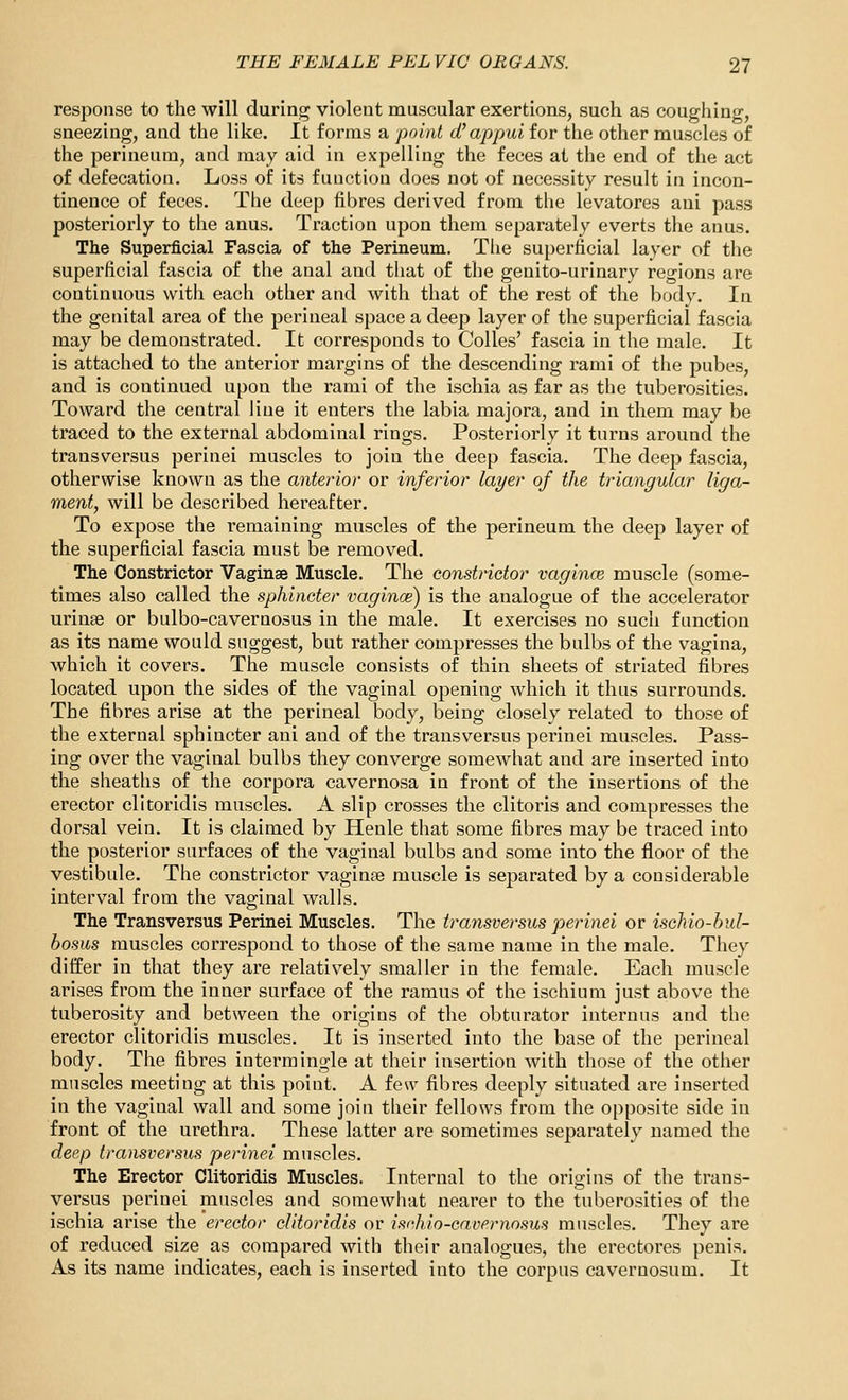 response to the will during violent muscular exertions, such as coughing, sneezing, and the like. It forms a point (V appui for the other muscles of the perineum, and may aid in expelling the feces at the end of tlie act of defecation. Loss of its function does not of necessity result in incon- tinence of feces. The deep fibres derived from the levatores ani pass posteriorly to the anus. Traction upon them separately everts the anus. The Superficial Fascia of the Perineum. Tiie superficial layer of the superficial fascia of the anal and that of the genito-urinary regions are continuous with each other and with that of the rest of the body. In the genital area of the perineal space a deep layer of the superficial fascia may be demonstrated. It corresponds to Colles' fascia in the male. It is attached to the anterior margins of the descending rami of the pubes, and is continued upon the rami of the ischia as far as the tuberosities. Toward the central line it enters the labia majora, and in them may be traced to the external abdominal rings. Posteriorly it turns around the transversus perinei muscles to join the deep fascia. The deep fascia, otherwise known as the anterior or inferior layer of the triangular liga- ment, will be described hereafter. To expose the remaining muscles of the perineum the deep layer of the superficial fascia must be removed. The Constrictor Vaginae Muscle. The constrictor vagince muscle (some- times also called the sphincter vagince) is the analogue of the accelerator urinae or bulbo-cavernosus in the male. It exercises no such function as its name would suggest, but rather compresses the bulbs of the vagina, which it covers. The muscle consists of thin sheets of striated fibres located upon the sides of the vaginal opening which it thus surrounds. The fibres arise at the perineal body, being closely related to those of the external sphincter ani and of the transversus perinei muscles. Pass- ing over the vaginal bulbs they converge somewhat and are inserted into the sheaths of the corpora cavernosa in front of the insertions of the erector clitoridis muscles. A slip crosses the clitoris and compresses the dorsal vein. It is claimed by Henle that some fibres may be traced into the posterior surfaces of the vaginal bulbs and some into the floor of the vestibule. The constrictor vaginse muscle is separated by a considerable interval from the vaginal walls. The Transversus Perinei Muscles. The transversus perinei or ischio-hul- bosus muscles correspond to those of the same name in the male. They differ in that they are relatively smaller in the female. Each muscle arises from the inner surface of the ramus of the ischium just above the tuberosity and between the origins of the obturator internus and the erector clitoridis muscles. It is inserted into the base of the perineal body. The fibres intermingle at their insertion with those of the other muscles meeting at this point. A few fibres deeply situated are inserted in the vaginal wall and some join their fellows from the opposite side in front of the urethra. These latter are sometimes separately named the deep transversus perinei muscles. The Erector Clitoridis Muscles. Internal to the origins of the trans- versus perinei muscles and somewhat nearer to the tuberosities of the ischia arise the erector clitoridis or isoMo-cavernosus muscles. They are of reduced size as compared with their analogues, the erectores penis. As its name indicates, each is inserted into the corpus cavernosum. It