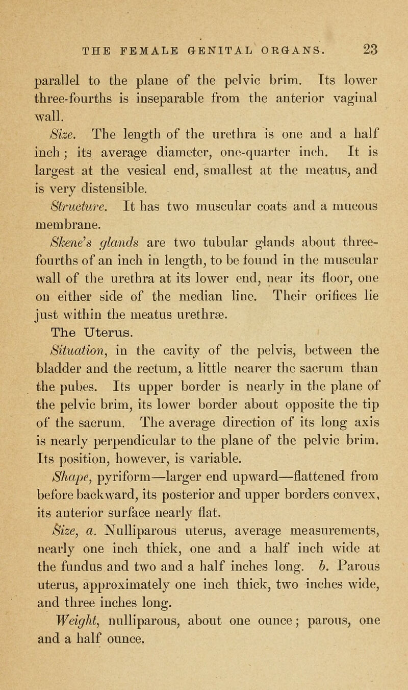 parallel to the plane of the pelvic brim. Its lower three-fourths is inseparable from the anterior vaginal wall. Size. The length of the urethra is one and a half inch; its average diameter, one-quarter inch. It is largest at the vesical end, smallest at the meatus, and is very distensible. Structure. It has two muscular coats and a mucous membrane. Skene's glands are two tubular glands about three- fourths of an inch in length, to be found in the muscular wall of the urethra at its lower end, near its floor, one on either side of the median line. Their orifices lie just within the meatus urethras. The Uterus. Situation, in the cavity of the pelvis, between the bladder and the rectum, a little nearer the sacrum than the pubes. Its upper border is nearly in the plane of the pelvic brim, its lower border about opposite the tip of the sacrum. The average direction of its long axis is nearly perpendicular to the plane of the pelvic brim. Its position, however, is variable. Shape, pyriform—larger end upward—flattened from before backward, its posterior and upper borders convex, its anterior surface nearly flat. Size, a. Nulliparous uterus, average measurements, nearly one inch thick, one and a half inch wide at the fundus and two and a half inches long. b. Parous uterus, approximately one inch thick, two inches wide, and three inches long. Weight, nulliparous, about one ounce; parous, one and a half ounce.