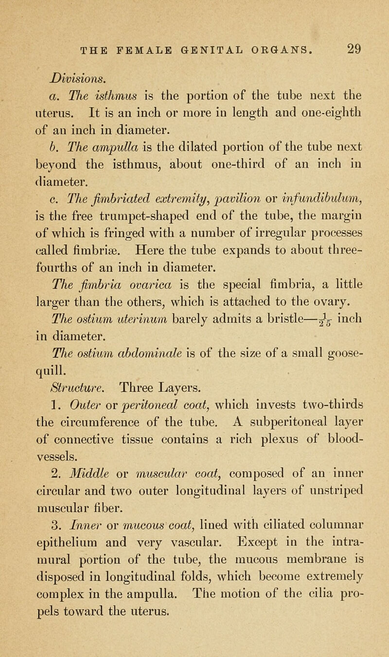 Divisions. a. The isthmus is the portion of the tube next the uterus. It is an inch or more iu length and one-eighth of an inch in diameter. b. The ampulla is the dilated portion of the tube next beyond the isthmus, about one-third of an inch in diameter. c. The fimbriated extremity, 'pavilion or infundibulum, is the free trumpet-shaped end of the tube, the margin of which is fringed with a number of irregular processes called fimbriae. Here the tube expands to about three- fourths of an inch in diameter. The fimbria ovariea is the special fimbria, a little larger than the others, which is attached to the ovary. The ostium uterinum barely admits a bristle—2V ^ncn in diameter. The ostium abdominale is of the size of a small goose- quill. Structure. Three Layers. 1. Outer or peritoneal coat, which invests two-thirds the circumference of the tube. A subperitoneal layer of connective tissue contains a rich plexus of blood- vessels. 2. Middle or muscular coat, composed of an inner circular and two outer longitudinal layers of unstriped muscular fiber. 3. Inner or mucous coat, lined with ciliated columnar epithelium and very vascular. Except in the intra- mural portion of the tube, the mucous membrane is disposed in longitudinal folds, which become extremely complex in the ampulla. The motion of the cilia pro- pels toward the uterus.