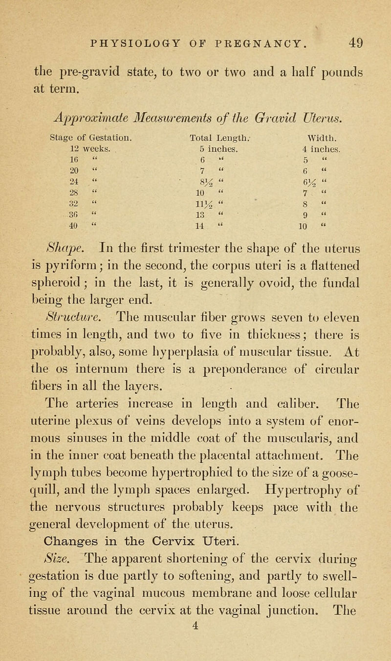 the pre-gravid state, to two or two and a half pounds at terra. Approximate Measurements of the Gravid Uterus. Stage of Gestation. Total Length.- Width. 12 weeks. 5 inches. 4 inches. 16  6  5  20  7  6  24  ■ 8%  6%  28  10  7  32  11%  8  36  13  9  40  14  10  Shape. In the first trimester the shape of the uterus is pyriforra; in the second, the corpus uteri is a flattened spheroid ; in the last, it is generally ovoid, the fundal being the larger end. Structure. The muscular fiber grows seven to eleven times in length, and two to five in thickness; there is probably, also, some hyperplasia of muscular tissue. At the os internum there is a preponderance of circular fibers in all the layers. The arteries increase in length and caliber. The uteriue plexus of veins develops into a system of enor- mous sinuses in the middle coat of the muscularis, and in the inner coat beneath the placental attachment. The lymph tubes become hypertrophied to the size of a goose- quill, and the lymph spaces enlarged. Hypertrophy of the nervous structures probably keeps pace with the general development of the uterus. Changes in the Cervix Uteri. Size. The apparent shortening of the cervix during gestation is due partly to softening, and partly to swell- ing of the vaginal mucous membrane and loose cellular tissue around the cervix at the vaginal junction. The 4