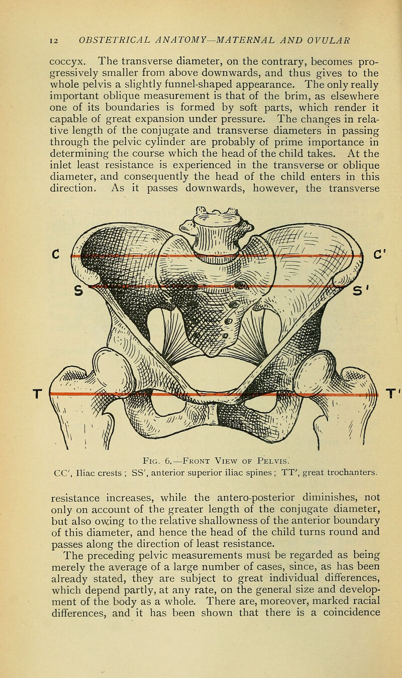 coccyx. The transverse diameter, on the contrary, becomes pro- gressively smaller from above downwards, and thus gives to the whole pelvis a slightly funnel-shaped appearance. The only really important oblique measurement is that of the brim, as elsewhere one of its boundaries is formed by soft parts, which render it capable of great expansion under pressure. The changes in rela- tive length of the conjugate and transverse diameters in passing through the pelvic cylinder are probably of prime importance in determining the course which the head of the child takes. At the inlet least resistance is experienced in the transverse or oblique diameter, and consequently the head of the child enters in this direction. As it passes downwards, however, the transverse Fig. 6.—Front View of Pelvis. CC, Iliac crests ; SS', anterior superior iliac spines; TT', great trochanters. resistance increases, while the antero-posterior diminishes, not only on account of the greater length of the conjugate diameter, but also owing to the relative shallowness of the anterior boundary of this diameter, and hence the head of the child turns round and passes along the direction of least resistance. The preceding pelvic measurements must be regarded as being merely the average of a large number of cases, since, as has been already stated, they are subject to great individual differences, which depend partly, at any rate, on the general size and develop- ment of the body as a whole. There are, moreover, marked racial differences, and it has been shown that there is a coincidence