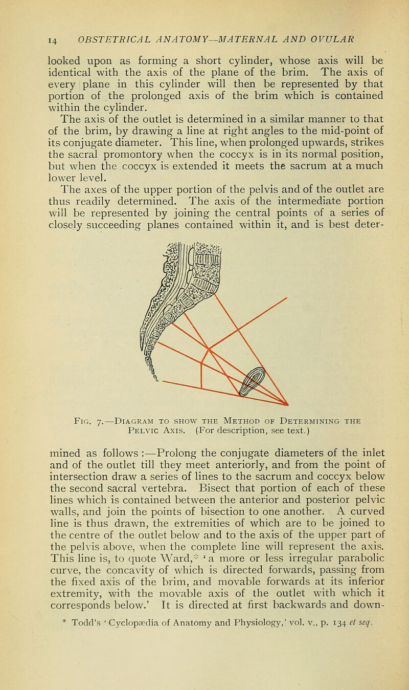 looked upon as forming a short cylinder, whose axis will be identical with the axis of the plane of the brim. The axis of every plane in this cylinder will then be represented by that portion of the prolonged axis of the brim which is contained within the cylinder. The axis of the outlet is determined in a similar manner to that of the brim, by drawing a line at right angles to the mid-point of its conjugate diameter. This line, when prolonged upwards, strikes the sacral promontory when the coccyx is in its normal position, but when the coccyx is extended it meets the sacrum at a much lower level. The axes of the upper portion of the pelvis and of the outlet are thus readily determined. The axis of the intermediate portion will be represented by joining the central points of a series of closely succeeding planes contained within it, and is best deter- Fig. 7.—Diagram to show the Method of Determining the Pelvic Axis. (For description, see text.) mined as follows :—Prolong the conjugate diameters of the inlet and of the outlet till they meet anteriorly, and from the point of intersection draw a series of lines to the sacrum and coccyx below the second sacral vertebra. Bisect that portion of each of these lines which is contained between the anterior and posterior pelvic walls, and join the points of bisection to one another. A curved line is thus drawn, the extremities of which are to be joined to the centre of the outlet below and to the axis of the upper part of the pelvis above, when the complete line will represent the axis. This line is, to quote Ward, ' a more or less irregular parabolic curve, the concavity of which is directed forwards, passing from the fixed axis of the brim, and movable forwards at its inferior extremity, with the movable axis of the outlet with which it corresponds below.' It is directed at first backwards and down- * Todd's ' Cyclopaedia of Anatomy and Physiology,' vol. v., p. 134 et seq.