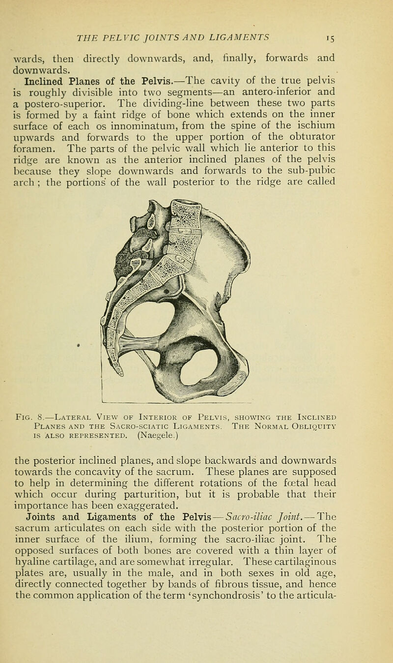 wards, then directly downwards, and, finally, forwards and downwards. Inclined Planes of the Pelvis.—The cavity of the true pelvis is roughly divisible into two segments—an antero-inferior and a postero-superior. The dividing-line between these two parts is formed by a faint ridge of bone which extends on the inner surface of each os innominatum, from the spine of the ischium upwards and forwards to the upper portion of the obturator foramen. The parts of the pelvic wall which lie anterior to this ridge are known as the anterior inclined planes of the pelvis because they slope downwards and forwards to the sub-pubic arch ; the portions' of the wall posterior to the ridge are called Fig. 8.—Lateral View of Interior of Pelvis, showing the Inclined Planes and the Sacro-sciatic Ligaments. The Normal Obliquity is also represented. (Naegele.) the posterior inclined planes, and slope backwards and downwards towards the concavity of the sacrum. These planes are supposed to help in determining the different rotations of the fcetal head which occur during parturition, but it is probable that their importance has been exaggerated. Joints and Ligaments of the Pelvis — Sacvo-iliac Joint. — The sacrum articulates on each side with the posterior portion of the inner surface of the ilium, forming the sacro-iliac joint. The opposed surfaces of both bones are covered with a thin layer of hyaline cartilage, and are somewhat irregular. These cartilaginous plates are, usually in the male, and in both sexes in old age, directly connected together by bands of fibrous tissue, and hence the common application of the term 'synchondrosis' to the articula-