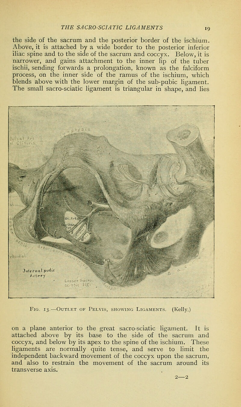 THE SACRO-SCIATIC LIGAMENTS the side of the sacrum and the posterior border of the ischium. Above, it is attached by a wide border to the posterior inferior iliac spine and to the side of the sacrum and coccyx. Below, it is narrower, and gains attachment to the inner lip of the tuber ischii, sending forwards a prolongation, known as the falciform process, on the inner side of the ramus of the ischium, which blends above with the lower margin of the sub-pubic ligament. The small sacro-sciatic ligament is triangular in shape, and lies Jnternat purUe Artery Fig. 13.—Outlet of Pelvis, showing Ligaments. (Kelly.) on a plane anterior to the great sacro-sciatic ligament. It is attached above by its base to the side of the sacrum and coccyx, and below by its apex to the spine of the ischium. These ligaments are normally quite tense, and serve to limit the independent backward movement of the coccyx upon the sacrum, and also to restrain the movement of the sacrum around its transverse axis.