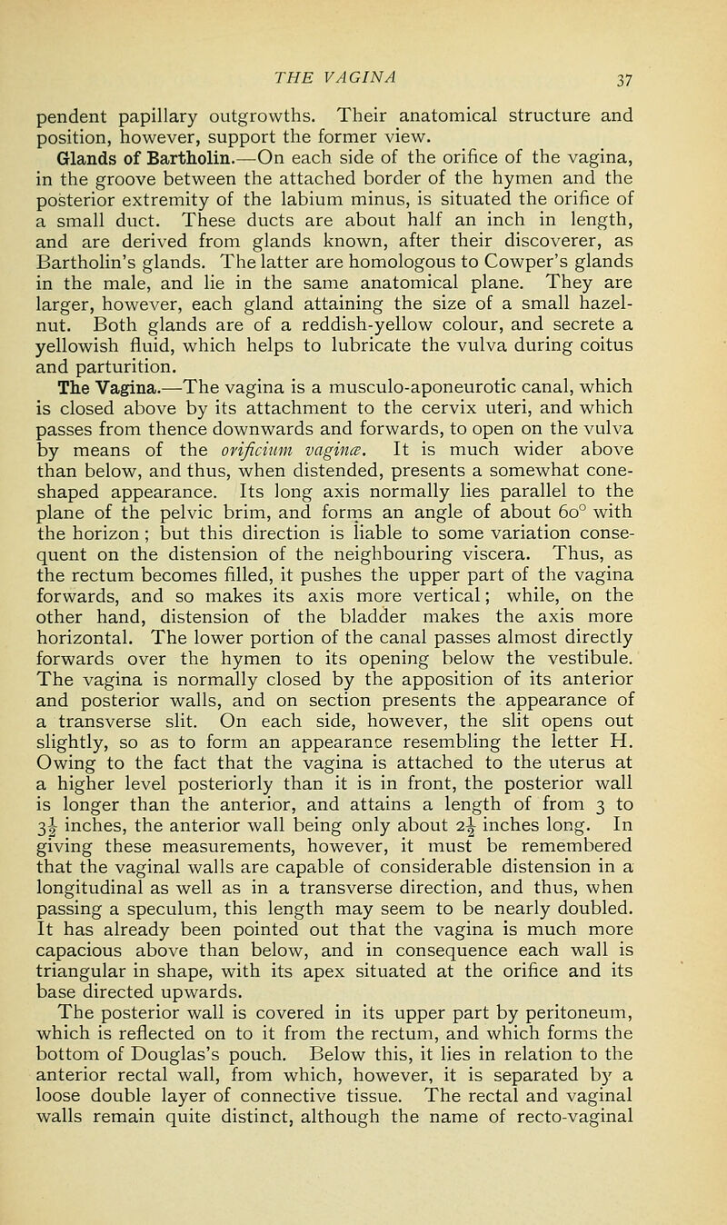 pendent papillary outgrowths. Their anatomical structure and position, however, support the former view. Glands of Bartholin.—On each side of the orifice of the vagina, in the groove between the attached border of the hymen and the posterior extremity of the labium minus, is situated the orifice of a small duct. These ducts are about half an inch in length, and are derived from glands known, after their discoverer, as Bartholin's glands. The latter are homologous to Cowper's glands in the male, and lie in the same anatomical plane. They are larger, however, each gland attaining the size of a small hazel- nut. Both glands are of a reddish-yellow colour, and secrete a yellowish fluid, which helps to lubricate the vulva during coitus and parturition. The Vagina.—The vagina is a musculo-aponeurotic canal, which is closed above by its attachment to the cervix uteri, and which passes from thence downwards and forwards, to open on the vulva by means of the ovificium vagina. It is much wider above than below, and thus, when distended, presents a somewhat cone- shaped appearance. Its long axis normally lies parallel to the plane of the pelvic brim, and forms an angle of about 6o° with the horizon ; but this direction is liable to some variation conse- quent on the distension of the neighbouring viscera. Thus, as the rectum becomes filled, it pushes the upper part of the vagina forwards, and so makes its axis more vertical; while, on the other hand, distension of the bladder makes the axis more horizontal. The lower portion of the canal passes almost directly forwards over the hymen to its opening below the vestibule. The vagina is normally closed by the apposition of its anterior and posterior walls, and on section presents the appearance of a transverse slit. On each side, however, the slit opens out slightly, so as to form an appearance resembling the letter H. Owing to the fact that the vagina is attached to the uterus at a higher level posteriorly than it is in front, the posterior wall is longer than the anterior, and attains a length of from 3 to 3-J inches, the anterior wall being only about i\ inches long. In giving these measurements, however, it must be remembered that the vaginal walls are capable of considerable distension in a longitudinal as well as in a transverse direction, and thus, when passing a speculum, this length may seem to be nearly doubled. It has already been pointed out that the vagina is much more capacious above than below, and in consequence each wall is triangular in shape, with its apex situated at the orifice and its base directed upwards. The posterior wall is covered in its upper part by peritoneum, which is reflected on to it from the rectum, and which forms the bottom of Douglas's pouch. Below this, it lies in relation to the anterior rectal wall, from which, however, it is separated b)r a loose double layer of connective tissue. The rectal and vaginal walls remain quite distinct, although the name of recto-vaginal