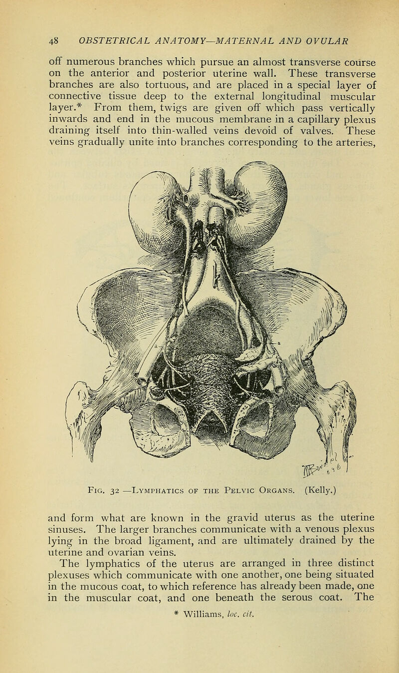 off numerous branches which pursue an almost transverse course on the anterior and posterior uterine wall. These transverse branches are also tortuous, and are placed in a special layer of connective tissue deep to the external longitudinal muscular layer.* From them, twigs are given off which pass vertically inwards and end in the mucous membrane in a capillary plexus draining itself into thin-walled veins devoid of valves. These veins gradually unite into branches corresponding to the arteries, Fig. 32 —Lymphatics of the Pelvic Organs. (Kelly.) and form what are known in the gravid uterus as the uterine sinuses. The larger branches communicate with a venous plexus lying in the broad ligament, and are ultimately drained by the uterine and ovarian veins. The lymphatics of the uterus are arranged in three distinct plexuses which communicate with one another, one being situated in the mucous coat, to which reference has already been made, one in the muscular coat, and one beneath the serous coat. The * Williams, loo. cit.