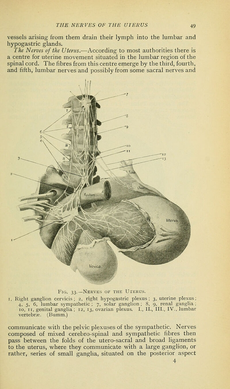 vessels arising from them drain their lymph into the lumbar and hypogastric glands. The Nerves of the Uterus.—According to most authorities there is a centre for uterine movement situated in the lumbar region of the spinal cord. The fibres from this centre emerge by the third, fourth, and fifth, lumbar nerves and possibly from some sacral nerves and Fig. 33.—Nerves of the Uterus. 1, Right ganglion cervicis ; 2, right hypogastric plexus; 3, uterine plexus; 4, 5, 6, lumbar sympathetic; 7, solar ganglion; 8, 9, renal ganglia; 10, ii, genital ganglia; 12, 13, ovarian plexus. I., II., III., IV., lumbar vertebrae. (Bumm.) communicate with the pelvic plexuses of the sympathetic. Nerves composed of mixed cerebro-spinal and sympathetic fibres then pass between the folds of the utero-sacral and broad ligaments to the uterus, where they communicate with a large ganglion, or rather, series of small ganglia, situated on the posterior aspect 4