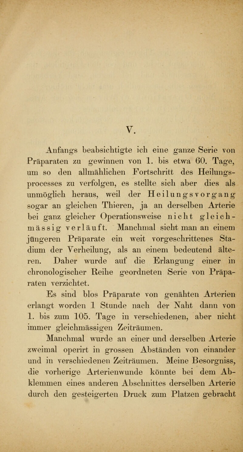 V. Anfangs beabsiclitigte ich eine ganze Serie von Präparaten zu gewinnen von 1. bis etwa 60. Tage, um so den allmäblichen Fortschritt des Heilungs- processes zu verfolgen, es stellte sich aber dies als unmöglich heraus, weil der H e i 1 u n g s v o r g a n g sogar an gleichen Thieren, ja an derselben Arterie bei ganz gleicher OperationsM'eise nicht gleich- massig verläuft. Manchmal sieht man an einem jüngeren Präparate ein weit vorgeschrittenes Sta- dium der Verheilung, als an einem bedeutend älte- ren. Daher wurde auf die Erlangung einer in chronologischer Reihe geordneten Serie von Präpa- raten verzichtet. Es sind blos Präparate von genähten Arterien erlangt worden 1 Stunde nach der Naht dann von 1. bis zum 105. Tage in verschiedenen, aber nicht immer gleichmässigen Zeiträumen. Manchmal wurde an einer und derselben Arterie zweimal operirt in grossen Abständen von einander und in verschiedenen Zeiträumen. Meine Besorgniss, die vorherige Arterienwunde könnte bei dem Ab- klemmen eines anderen Abschnittes derselben Arterie durch den gesteigerten Druck zum Platzen gebracht