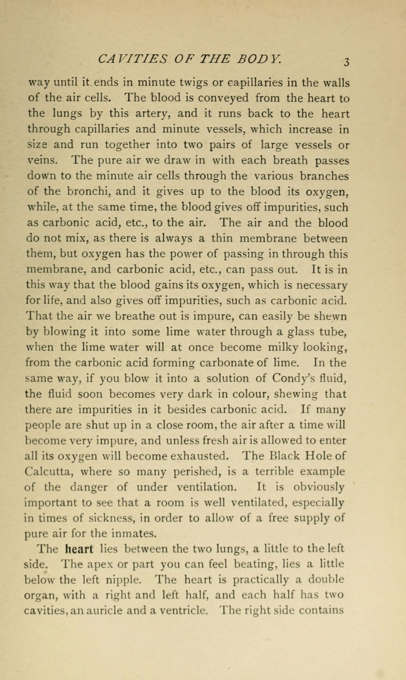 way until it ends in minute twigs or capillaries in the walls of the air cells. The blood is conveyed from the heart to the lungs by this artery, and it runs back to the heart through capillaries and minute vessels, which increase in size and run together into two pairs of large vessels or veins. The pure air we draw in with each breath passes down to the minute air cells through the various branches of the bronchi, and it gives up to the blood its oxygen, while, at the same time, the blood gives off impurities, such as carbonic acid, etc., to the air. The air and the blood do not mix, as there is always a thin membrane between them, but oxygen has the power of passing in through this membrane, and carbonic acid, etc., can pass out. It is in this way that the blood gains its oxygen, which is necessary for life, and also gives off impurities, such as carbonic acid. That the air we breathe out is impure, can easily be shewn by blowing it into some lime water through a glass tube, when the lime water will at once become milky looking, from the carbonic acid forming carbonate of lime. In the same way, if you blow it into a solution of Condy's fluid, the fluid soon becomes very dark in colour, shewing that there are impurities in it besides carbonic acid. If many people are shut up in a close room, the air after a time will become very impure, and unless fresh air is allowed to enter all its oxygen will become exhausted. The Black Hole of Calcutta, where so many perished, is a terrible example of the danger of under ventilation. It is obviously important to see that a room is well ventilated, especially in times of sickness, in order to allow of a free supply of pure air for the inmates. The heart lies between the two lungs, a little to the left side. The apex or part you can feel beating, lies a little below the left nipple. The heart is practically a double organ, with a right and left half, and each half has two cavities, an auricle and a ventricle. The right side contains