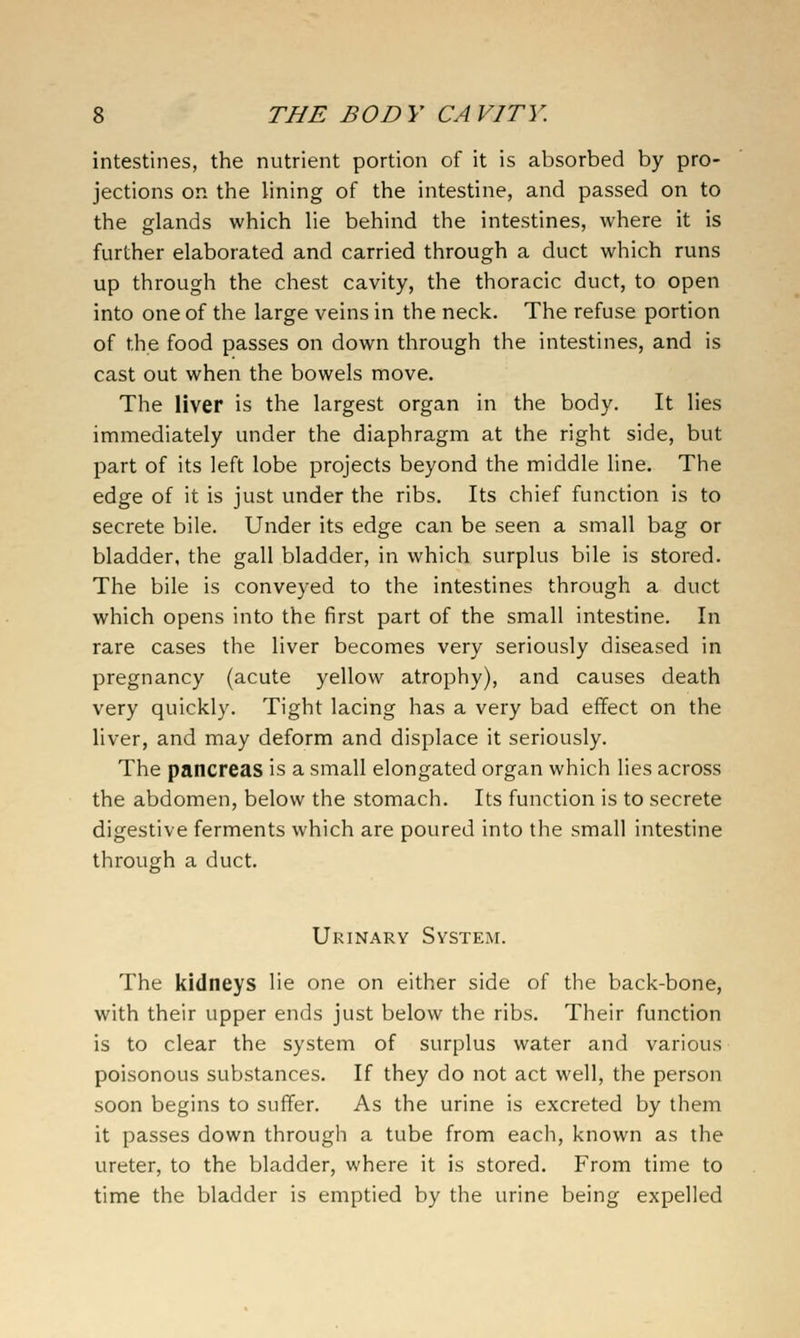 intestines, the nutrient portion of it is absorbed by pro- jections on the lining of the intestine, and passed on to the glands which lie behind the intestines, where it is further elaborated and carried through a duct which runs up through the chest cavity, the thoracic duct, to open into one of the large veins in the neck. The refuse portion of the food passes on down through the intestines, and is cast out when the bowels move. The liver is the largest organ in the body. It lies immediately under the diaphragm at the right side, but part of its left lobe projects beyond the middle line. The edge of it is just under the ribs. Its chief function is to secrete bile. Under its edge can be seen a small bag or bladder, the gall bladder, in which surplus bile is stored. The bile is conveyed to the intestines through a duct which opens into the first part of the small intestine. In rare cases the liver becomes very seriously diseased in pregnancy (acute yellow atrophy), and causes death very quickly. Tight lacing has a very bad effect on the liver, and may deform and displace it seriously. The pancreas is a small elongated organ which lies across the abdomen, below the stomach. Its function is to secrete digestive ferments which are poured into the small intestine through a duct. Urinary System. The kidneys lie one on either side of the back-bone, with their upper ends just below the ribs. Their function is to clear the system of surplus water and various poisonous substances. If they do not act well, the person soon begins to suffer. As the urine is excreted by them it passes down through a tube from each, known as the ureter, to the bladder, where it is stored. From time to time the bladder is emptied by the urine being expelled