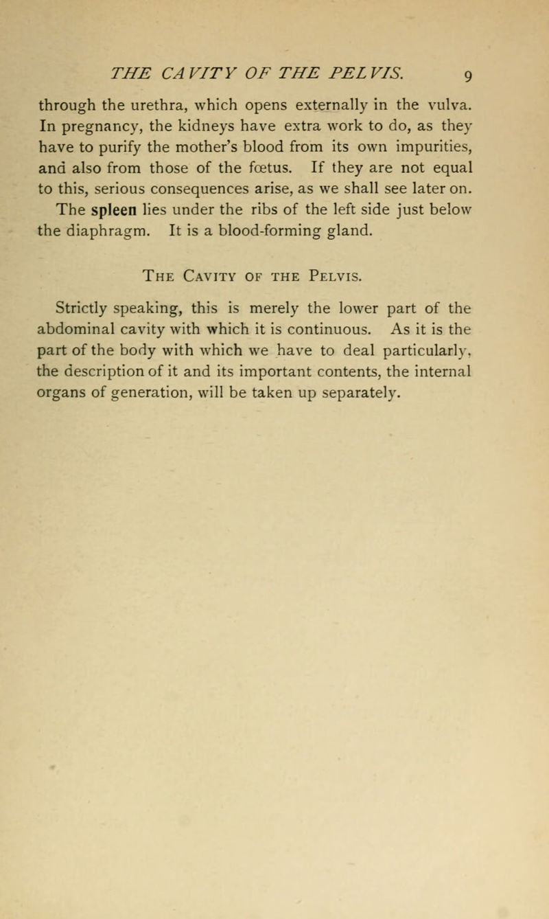 through the urethra, which opens externally in the vulva. In pregnancy, the kidneys have extra work to do, as they have to purify the mother's blood from its own impurities, and also from those of the fcetus. If they are not equal to this, serious consequences arise, as we shall see later on. The spleen lies under the ribs of the left side just below the diaphragm. It is a blood-forming gland. The Cavity of the Pelvis. Strictly speaking, this is merely the lower part of the abdominal cavity with which it is continuous. As it is the part of the body with which we have to deal particularly. the description of it and its important contents, the internal organs of generation, will be taken up separately.