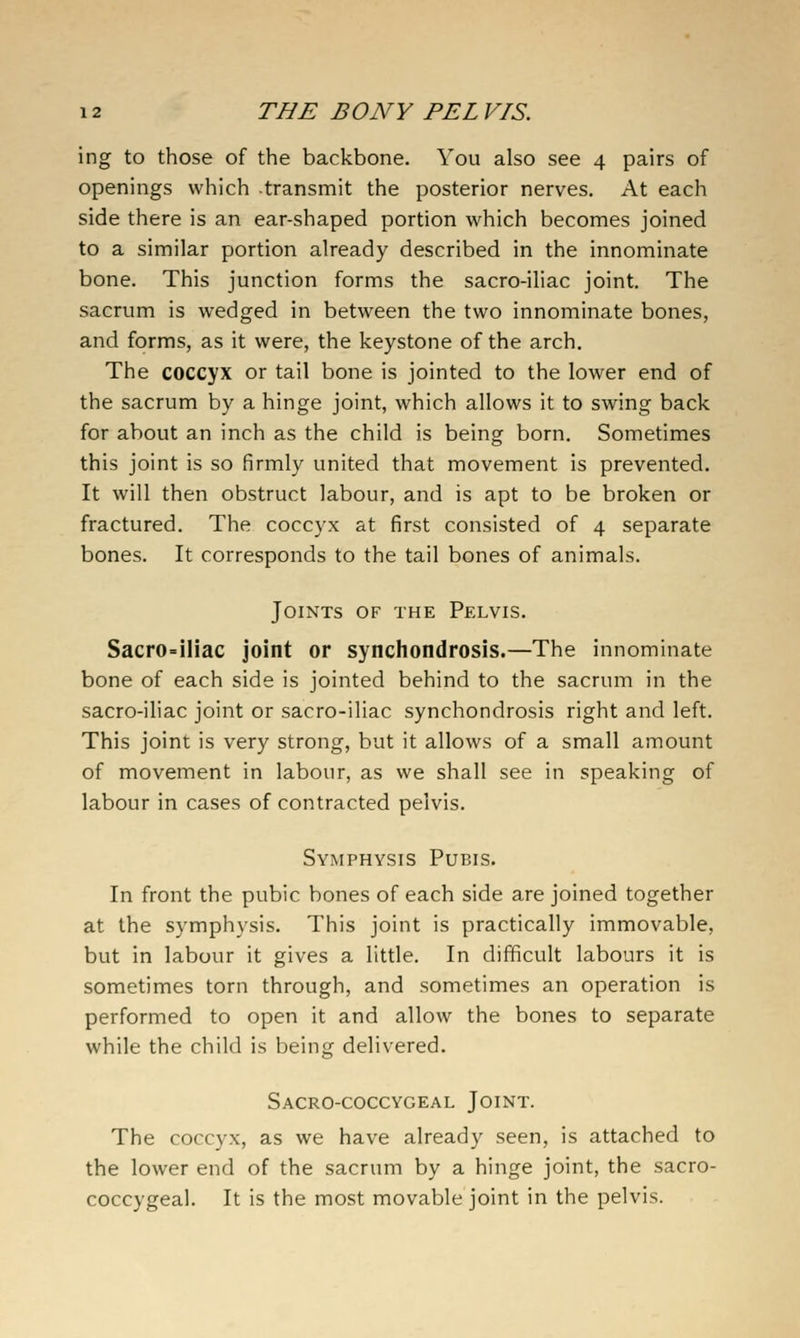 ing to those of the backbone. You also see 4 pairs of openings which -transmit the posterior nerves. At each side there is an ear-shaped portion which becomes joined to a similar portion already described in the innominate bone. This junction forms the sacro-iliac joint. The sacrum is wedged in between the two innominate bones, and forms, as it were, the keystone of the arch. The coccyx or tail bone is jointed to the lower end of the sacrum by a hinge joint, which allows it to swing back for about an inch as the child is being born. Sometimes this joint is so firmly united that movement is prevented. It will then obstruct labour, and is apt to be broken or fractured. The coccyx at first consisted of 4 separate bones. It corresponds to the tail bones of animals. Joints of the Pelvis. Sacro-iliac joint or synchondrosis.—The innominate bone of each side is jointed behind to the sacrum in the sacro-iliac joint or sacro-iliac synchondrosis right and left. This joint is very strong, but it allows of a small amount of movement in labour, as we shall see in speaking of labour in cases of contracted pelvis. Symphysis Pubis. In front the pubic bones of each side are joined together at the symphysis. This joint is practically immovable, but in labour it gives a little. In difficult labours it is sometimes torn through, and sometimes an operation is performed to open it and allow the bones to separate while the child is being delivered. Sacro-coccygeal Joint. The coccyx, as we have already seen, is attached to the lower end of the sacrum by a hinge joint, the sacro- coccygeal. It is the most movable joint in the pelvis.