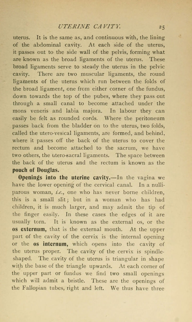 uterus. It is the same as, and continuous with, the lining of the abdonainal cavity. At each side of the uterus, it passes out to the side wall of the pelvis, forming what are known as the broad ligaments of the uterus. These broad ligaments serve to steady the uterus in the pelvic cavity. There are two muscular ligaments, the round ligaments of the uterus which run between the folds of the broad ligament, one from either corner of the fundus, down towards the top of the pubes, where they pass out through a small canal to become attached under the mons veneris and labia majora. In labour they can easily be felt as rounded cords. Where the peritoneum passes back from the bladder on to the uterus, two folds, called the utero-vesical ligaments, are formed, and behind, where it passes off the back of the uterus to cover the rectum and become attached to the sacrum, we have two others, the utero-sacral ligaments. The space between the back of the uterus and the rectum is known as the pouch of Douglas. Openings into the uterine cavity.—In the vagina we have the lower opening of the cervical canal. In a nuUi- parous woman, i.e., one who has never borne children, this is a small slit; but in a woman who has had children, it is much larger, and may admit the tip of the finger easily. In these cases the edges of it are usually torn. It is known as the e.xternal os, or the OS externum, that is the external mouth. At the upper part of the ca\ ity of the cervix is the internal opening or the OS internum, which opens into the cavity of the uterus proper. The cavity of the cervix is spindle- shaped. The cavity of the uterus is triangular in shape with the base of the triangle upwards. At each corner of the upper part or fundus we find two small openings which will admit a bristle. These are the openings of the Fallopian tubes, right and left. We thus have three