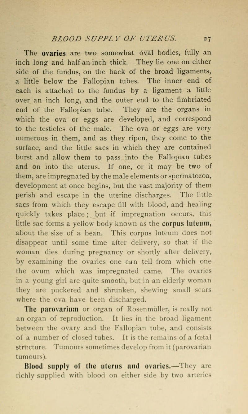 The ovaries are two somewhat oval bodies, fully an inch long and half-an-inch thick. They lie one on either side of the fundus, on the back of the broad ligaments, a little below the Fallopian tubes. The inner end of each is attached to the fundus by a ligament a little over an inch long, and the outer end to the fimbriated end of the Fallopian tube. They are the organs in which the ova or eggs are developed, and correspond to the testicles of the male. The ova or eggs are very numerous in them, and as they ripen, they come to the surface, and the little sacs in which they are contained burst and allow them to pass into the Fallopian tubes and on into the uterus. If one, or it may be two of them, are impregnated by the male elements or spermatozoa, development at once begins, but the vast majority of them perish and escape in the uterine discharges. The little sacs from which they escape fill with blood, and healing quickly takes place; _but if impregnation occurs, this little sac forms a yellow body known as the corpus luteum, about the size of a bean. This corpus luteum does not disappear until some time after delivery, so that if the woman dies during pregnancy or shortly after delivery, by examining the ovaries one can tell from which one the ovum which was impregnated came. The ovaries in a young girl are quite smooth, hut in an elderly woman they are puckered and shrunken, shewing small scars where the ova have been discharged. The parovarium or organ of Rosenmuller, is really not an organ of reproduction. It lies in the broad ligament between the ovary and the Fallo[)ian tube, and consists of a number of closed tubes. It is the remains of a foetal strvcture. Tumours sometimes develop from it (parovarian tumours). Blood supply of the uterus and ovaries.—They are richly supplied witli lilood on either side by two arteries