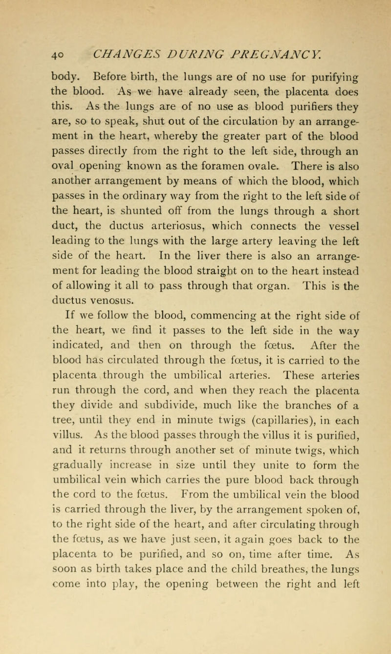 body. Before birth, the lungs are of no use for purifying the blood. As we have already seen, the placenta does this. As the lungs are of no use as blood purifiers they are, so to speak, shut out of the circulation by an arrange- ment in the heart, whereby the greater part of the blood passes directly from the right to the left side, through an oval opening known as the foramen ovale. There is also another arrangement by means of which the blood, which passes in the ordinary way from the right to the left side of the heart, is shunted off from the lungs through a short duct, the ductus arteriosus, which connects the vessel leading to the lungs with the large artery leaving the left side of the heart. In the liver there is also an arrange- ment for leading the blood straight on to the heart instead of allowing it all to pass through that organ. This is the ductus venosus. If we follow the blood, commencing at the right side of the heart, we find it passes to the left side in the way indicated, and then on through the foetus. After the blood has circulated through the foetus, it is carried to the placenta througli the umbilical arteries. These arteries run through the cord, and when they reach the placenta they divide and subdivide, much like the branches of a tree, until they end in minute twigs (capillaries), in each villus. As the blood passes through the villus it is purified, and it returns through another set of minute twigs, which gradually increase in size until they unite to form the umbilical vein which carries the pure blood back through the cord to the foetus. From the umbilical vein the blood is carried through the liver, by the arrangement spoken of, to the right side of the heart, and after circulating through the foetus, as we have just seen, it again goes back to the placenta to be purified, and so on, time after time. As soon as birth takes place and the child breathes, the lungs come into play, the opening between the right and left