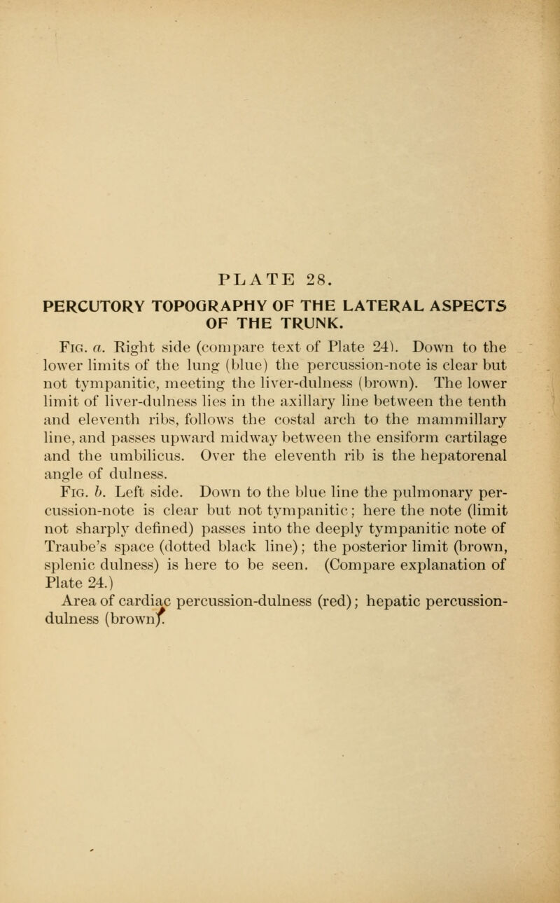 PERCUTORY TOPOGRAPHY OF THE LATERAL ASPECTS OF THE TRUNK. Fig. a. Right side (compare text of Plate 24). Down to the lower Hmits of the lung (blue) the percussion-note is clear but not tympanitic, meeting the liver-dulness (brown). The lower limit of liver-dulness lies in the axillary line between the tenth and eleventh ribs, follows the costal arch to the mammillary line, and passes upward midway between the ensiform cartilage and the umbilicus. Over the eleventh rib is the hepatoi^enal angle of dulness. Fig. h. Left side. Down to the blue line the pulmonary per- cussion-note is clear but not tympanitic; here the note (limit not sharply defined) passes into the deeply tympanitic note of Traube's space (dotted black line); the posterior limit (brown, splenic dulness) is here to be seen. (Compare explanation of Plate 24.) Area of cardiac percussion-dulness (red); hepatic percussion- dulness (brown^