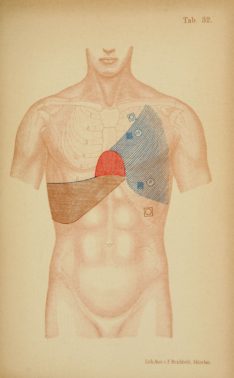 m 1-iili.Anst.v. F. Reichhnid, MiiitdiBn.