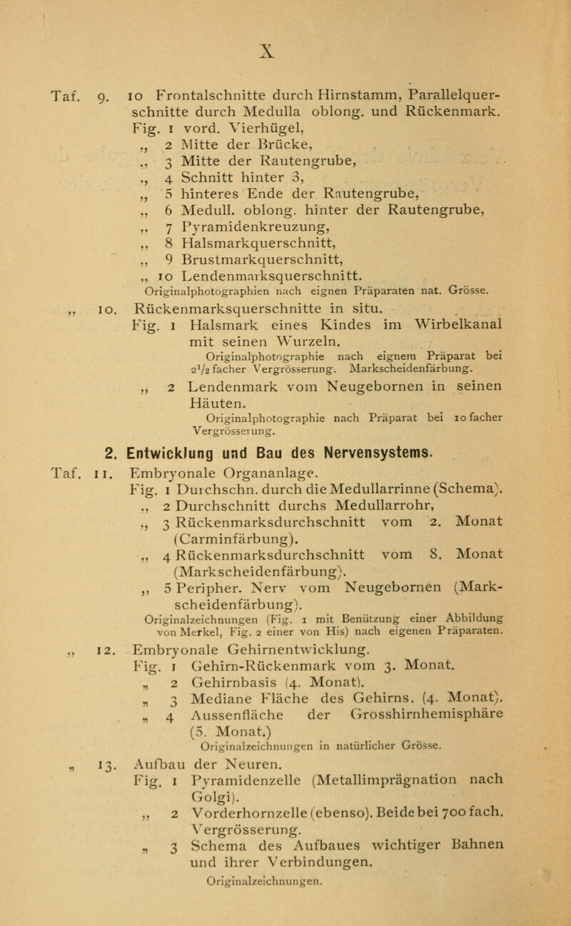 Taf. 9, 10 Frontalschnitte durch Hirnstamm, Parallelquer- schnitte durch Medulla oblong, und Riickenmark. P'ig. I vord. Vierhiigel. ,, 2 jSIitte der Briicke, ,, 3 Mitte der Rautengrube, ,, 4 Schnitt hinter 3, „ 5 hinteres Ende der Rautengrube, ,, 6 Medull. oblong, hinter der Rautengrube, ,, 7 Pyramidenkreuzung, ,, 8 Halsmarkquerschnitt, ,, 9 Brustmarkquerschnitt, „ 10 Lendenmaiksquerschnitt. Originalphotographien nach eignen Praparaten nat. Grosse. ,, 10. Riickenmarksquerschnitte in situ. Fig. I Halsmark eines Kindes ini Wirbelkanal mit seinen Wurzeln. Originalphotographie nach eignem Praparat bei 2V2 facher Vergrosserung. Markscheidenfarbung. ,, 2 Lendenmark vom Neugebornen in seinen Hauten. Originalphotographie nach Praparat bei 10 facher Vergrosserung. 2. Entwicklung und Bau des Nervensystems. Taf. II. Embryonale Organanlage. Fig. I Duichschn. durch die Medullarrinne (Schema). ,, 2 Durchschnitt durchs Medullarrohr, ,, 3 Riickenmarksdurchschnitt vom 2. Monat (Carminfarbung). ,, 4 Ruckenmarksdurchschnitt vom 8. Monat (Markscheidenfarbung). ,, 5 Peripher. Nerv vom Neugebornen (Mark- scheidenfarbung). Originalzeichnungen (Fig. i mit Beniitzung einer Abbildung von Mcrkel, Fig. 2 einer von His) nach eigenen Praparaten. ,, 12. Embryonale Gehirnentwicklung. Fig. I Gehirn-Ruckenmark vom 3. Monat. y, 2 Gehirnbasis (4. Monat). „ 3 Mediane Flache des Gehirns. (4. Monat). „ 4 Aussenfljiche der Grosshirnhemisphare (5. Monat.) Originalzeichnungen in natiirlicher Grosse. „ 13. Aufbau der Neuren. Fig. I Pyramidenzelle (Metallimpragnation nach Golgi). „ 2 Vorderhornzelle(ebenso).Beidebei yoofach. N'ergrosserung. „ 3 Schema des Aufbaues wichtiger Bahnen und ihrer Verbindungen. Originalzeichnungen.