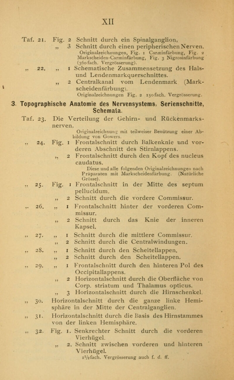 Taf. 21. Fig. 2 Schnitt durch ein Spinalganglion, ,, 3 Schnitt durch einen peripherischenNerven. Originalzeichniingen, Fig. i Carminfarbung, Fig. 2 Markscheiden-Canninfarbung, Fig. 3 Nigrosinfarbung (36ofach. Vergrosserung). ,, 22. ,, I Schematische Zusammensetzung des Hals- und Lendenmarkquerschnittes. ,, 2 Centralkanal vom Lendenmark (Mark- scheidenfarbungi. Originalzeichnungen Fig. 2 isofach. Vergrosserung. 3. Topographische Anatomie des Nervensystems, Serienschnitte, Schemata. Taf. 23. Die Verteilung der Gehirn- und Riickenmarks- nerven, Originalzeichnunq^ mit teilweiser Beniitzung einer Ab- bildung von Gowers. ,, 24. Fig. I Frontalschnitt durch Balkenknie und vor- deren Abschnitt des Stirnlappens. ,, 2 ?rontalschnitt durch den Kopf des nucleus caudatus. Diese und alle folgenden Originalzeichnungen nach Praparaten mit Markscheidenfarbung. (Natiirliche Grosse). ,, 25. Fig. I Frontalschnitt in der Mitte des septum pellucidum. ,, 2 Schnitt durch die vordere Commissur. ,. 26. ,, I f^rontalschnitt hinter der vorderen Com- missur. ,, 2 Schnitt durch das Knie der inneren Kapsel. Schnitt diHxh die mittlere Commissur. Schnitt durch die Centralwindungen. Schnitt durch den Scheitellappen. Schnitt durch den Scheitellappen. Frontalschnitt durch den hinteren Pol des Occipitallappens. ,. 2 Horizontalschnitt durch die Oberfliiche von Corp. striatum und Thalamus opticus. ,, 3 Horizontalschnitt durch die Hirnschenkel. 30. Horizontalschnitt durch die ganze linke Hemi- sphare in der Mitte der Centralganglien. 31. Horizontalschnitt durch die liasis des Hirnstammes von der linken Hemisphiire. 32. Fig. I. Senkrechter Schnitt durch die vordeien Vierhiigel. ,, 2. Schnitt zwischen vorderen und hinteren Vierhiigel. i'/'.i^ach. Vergrosserung aucb f. d. ft. 27. 55 55 I 2 28. 55 I 55 2 29. 55 I