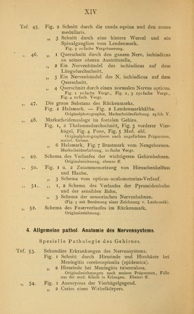 XIY Taf. 45. Fig. 2 Schnitt durch die cauda equina und den conns medullaris. „ 3 Schnitt durch eine hintere Wurzel und ein Spinalganglion voni Lendenmark. Fig. 3 2ofache Vergrosserung. ,. 46. ,, I Querschnitt durch den ganzen Nerv, ischiadicus an seiner oberen Austrittstelle. ,, 2 Ein Nervenbiindel des ischiadicus auf deni Langsdurchschnitt, ,, 3 Ein Nervenbiindel des N. ischiadicus auf dem Querschnitt. ,. 4 Querschnitt durch einen normalen Nervus opticus. Fig. I lofache Vergr., Fig. 2, 3 isofache Vergr., Fig. 4 lofach. Vergr. ,, 47. Die graue Substanz des Riickenmarks. Fig, I Halsmark. — Fig. 2 Lendenmarkhalfte. Originalphotographie, Markscheidenfarbung. 25 fch. V. ,, 48. Markscheidenanlage im foetalen Gehirn. Fig. I, 2 Thalamusdurchschnitt, Fig. 3 vorderer Vier- hiigel, Fig. 4 Pons, Fig. 5 Med. obi. Originalphotographieen nach ungefarbten Praparaten, natiirl. Grosse. ,, 6 Halsmark, Fig. 7 Brustmark vom Neugebornen. Markscheidenfarljung, lofache Vergr. ,, 49. Schema des Verlaufes der wichtigeren Gehirnbahnen. Originalzeichnung, ebenso fF. ,, 50- Fig. I u. 2 Zusammensetzung von Hirnschenkelfuss und Haube. „ 3 Schema vom opticus- oculomotorius-Verlauf. ,, 5' >> ^5 2 Schema des Verlaufes der Pyramidenbahn und der sensiblen Bahn. „ 3 Schema der sensorischen Nervenbahnen. (Fig. 3 mit Beniitzung einer Zeichnung v. Lenhossek). ,, 52. Schema des Faserverlaufes im Rilckenmark. Originalzeichnung. 4. Ailgemeine pathol Anatomie des Nervensystems. Spezielle Pathologic des Gehirnes. Taf. 53. Sekundare Erkrankungen des Nervensystems. Fig. I Schnitt durch Hirnrinde und Hirnhaute bei Meningitis cerebrospinalis (epidemica). „ 2 Hirnrinde bei Meningitis tuberculosa. Originalzeichnungen nach meinen Praparaten, Falle aus der med. Klinik in Erlangen. Ebenso ff. .,, 54. Fig. I Aneurysma der Vierhiigelgegend. ,, 2 Caries eines Wirbelkorpers.