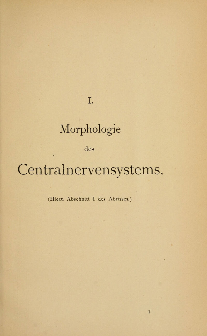 I. Morphologic des Centralnervensystems. (Hiezu Abschnitt I des Abrisses.)