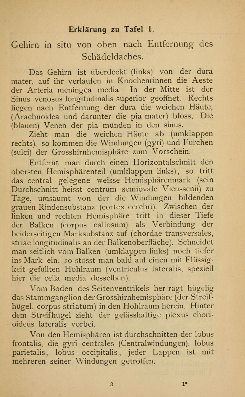 Gehirn in situ von oben nach Entfernung des Schadeldaches. Das Gehirn ist liberdeckt (links) von der dura mater, auf ihr verlaufen in Knochenrinnen die Aeste der Arteria meningea media. In der Mitte ist der Sinus venosus longitudinalis superior geoffnet. Rechts liegen nach Entfernung der dura die weichen Haute, (Arachnoidea und darunter die pia mater) bloss. Die (blauen) Venen der pia miinden in den sinus. Zieht man die weichen Haute ab (umklappen rechts), so kommen die VVindungen (gyri) und Furchen (sulci) der Grosshirnhemisphare zum Vorschein. Entfernt man durch einen Horizontalschnitt den obersten Hemispharenteil (umklappen Hnks), so tritt das central gelegene weisse Hemispharenmark (sein Durchschnitt heisst centrum semiovale Vieussenii) zu Tage, umsaumt von der die Windungen bildenden grauen Rindensubstanz (cortex cerebri). Zwischen der linken und rechten Hemisphare tritt in dieser Tiefe der Balken (corpus callosum) als Verbindung der beiderseitigen Marksubstanz auf (chordae transversales, striae longitudinalis an der Balkenoberflache). Schneidet man seitlich vom Balken (umklappen links) noch tiefer ins Mark ein, so stosst man bald auf einen mit Fliissig- keit gefiillten Hohlraum (ventriculus lateralis, speziell hier die cella media desselben). Vom Boden des Seitenventrikels her ragt hiigelig das Stammganglion der Grosshirnhemisphare (der Streif- hugek corpus striatum) in den Hohlraum herein. Hinter dem Streifhiigel zieht der gefasshaltige plexus chori- oideus lateralis vorbei. Von den Hemispharen ist durchschnitten der lobus frontalis, die gyri centrales (Centralwindungen), lobus parietalis, lobus occipitalis, jeder Lappen ist mit mehreren seiner Windungen getroffen.