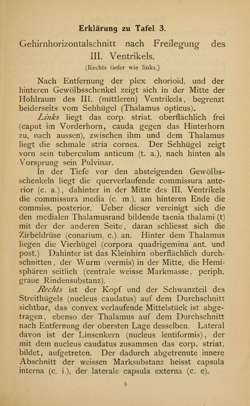 Gehirnhorizontalschnitt nach Freilegung des III. Ventrikels. (Rechts tiefer wie links.) Nach Entfernung der plex. chorioid. und der hinteren Gewolbsschenkel zeigt sich in der Mitte der Hohlraum des III. (mittleren) Ventrikels, begrenzt beiderseits vom Sehhiigel (Thalamus opticus). Links liegt das corp. striat. oberflachlich frei (caput im Vorderhorn, cauda gegen das Hinterhorn zu, nach aussen), zwischen ihm und dem Thalamus liegt die schmale stria cornea. Der Sehhiigel zeigt vorn sein tuberculum anticum (t. a.), nach hinten als Vorsprung sein Pulvinar. In der Tiefe vor den absteigenden Gewolbs- schenkeln liegt die querverlaufende commissura ante- rior (c. a.), dahinter in der Mitte des III. Ventrikels die commissura media (c. m.), am hinteren Ende die comraiss. posterior. Ueber dieser vereinigt sich die den medialen Thalamusrand bildende taenia thalami (t) mit der der anderen Seite, daran schliesst sich die Zirbeldriise (conarium. c.) an. Hinter dem Thalamus liegen die Vierhligel (corpora quadrigemina ant. und post.) Dahinter ist das Kleinhirn oberflachlich durch- schnitten, der Wurm (vermis) in der Mitte, die Hemi- spharen seitlich (centrale weisse Markmasse, periph. graue Rindensubstanz). Rechts ist der Kopf und der Schwanzteil des Streithiigels (nucleus caudatus) auf dem Durchschnitt sichtbar, das convex verlaufende Mittelstiick ist abge- tragen, ebenso der Thalamus auf dem Durchschnitt nach Entfernung der obersten Lage desselben. Lateral davon ist der Linsenkern (nucleus lentiformis), der mit dem nucleus caudatus zusammen das corp. striat. bildet, aufgetreten. Der dadurch abgetrennte innere Abschnitt der weissen Marksubstanz heisst capsula interna (c. i), der laterale capsula externa (c. e).