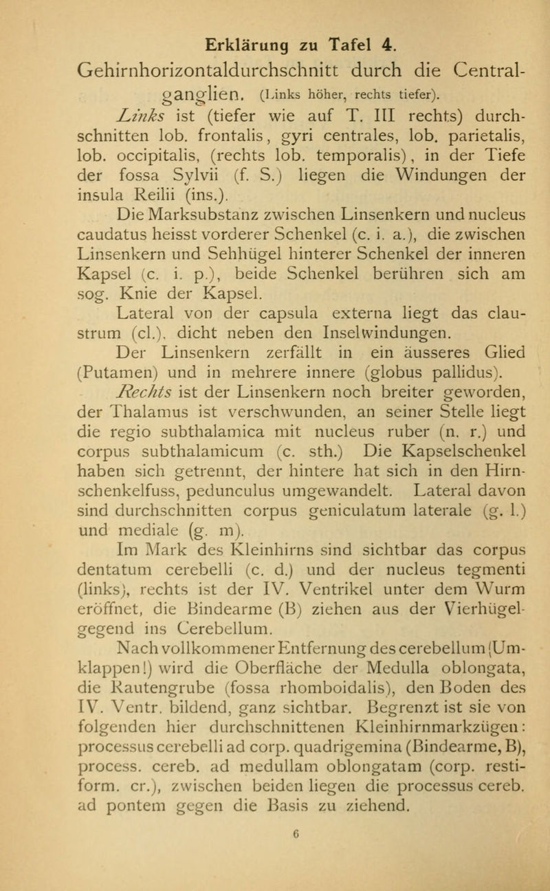 Gehirnhorlzontaldurchschnitt durch die Central- gano'lien, (Links hoher, rechts tiefer). Lijiks ist (tiefer wie auf T. Ill rechts) durch- schnitten lob. frontalis, gyri centrales, lob. parietalis, lob. occipitalis, (rechts lob. temporalis), in der Tiefe der fossa Sylvii (f. S.j liegen die Windungen der insula Reilii (ins.). DieMarksubstanz zwischen Linsenkern und nucleus caudatus heisst vorderer Schenkel (c. i. a.), die zwischen Linsenkern und Sehhiigel hinterer Schenkel der inneren Kapsel (c. i. p.), beide Schenkel beriihren sich am sog. Knie der Kapsel. Lateral von der capsula externa liegt das clau- strum (cl.). dicht neben den Inselwindungen. Der Linsenkern zerfallt in ein ausseres died (Putamen) und in mehrere innere (globus pallidus). Rechts ist der Linsenkern noch breiter geworden, der Thalamus ist verschwunden, an seiner Stelle liegt die regio subthalamica mit nucleus ruber (n. r.) und corpus subthalamicum (c. sth.) Die Kapselschenkel haben sich getrennt, der hintere hat sich in den Hirn- schenkelfuss, pedunculus umgewandelt. Lateral davon sind durchschnitten corpus geniculatum laterale (g. 1.) und mediale (g. m). Im Mark des Kleinhirns sind sichtbar das corpus dentatum cerebelli (c. d.) und der nucleus tegmenti (links), rechts ist der IV. Ventrikel unter dem Wurm eroffnet, die Bindearme (B) ziehen aus der Vierhiigel- gegend ins Cerebellum. Nach vollkommener Entfernung des cerebellum (Um- klappen!) wird die Oberflache der Medulla oblongata, die Rautengrube (fossa rhomboidalis), den Boden des IV. Ventr. bildend, ganz sichtbar. Begrenzt ist sie von folgenden hier durchschnittenen Kleinhirnmarkziigen: processus cerebelli ad corp. quadrigemina (Bindearme, B), process, cereb. ad meduUam oblongatam (corp. resti- form. cr.), zwischen beiden liegen die processus cereb. ad pontem gegen die Basis zu ziehend.