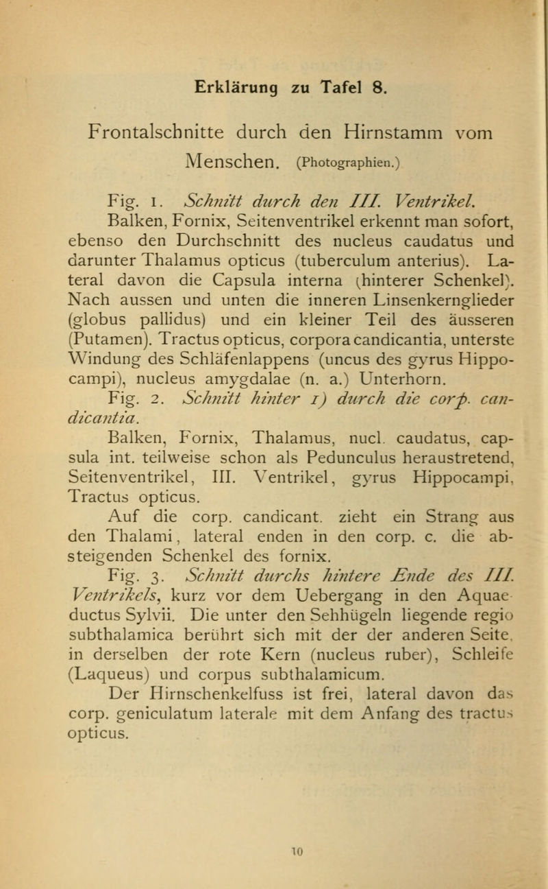 Frontalschnitte durch den Hirnstamm vom Menschen. (Photographien.) Fig. I. Schmtt durch den III. Ve?itrzkel. Balken, Fornix, Seitenventrikel eikennt man sofort, ebenso den Durchschnitt des nucleus caudatus und darunter Thalamus opticus (tuberculum anterius). La- teral davon die Capsula interna (^hinterer Schenkel\ Nach aussen und unten die inneren Linsenkernglieder (globus pallidus) und ein kleiner Teil des ausseren (Putamen). Tractus opticus, corporacandicantia, unterste Windung des Schlafenlappens (uncus des gyrus Hippo- campi), nucleus amygdalae (n. a.) Unterhorn. Fig. 2. Schmtt hiiiter i) durch die corp. can- dicantia. Balken, Fornix, Thalamus, nucl. caudatus, cap- sula int. teilweise schon als Pedunculus heraustretend, Seitenventrikel, III. Ventrikel, gyrus Hippocampi, Tractus opticus. Auf die Corp. candicant. zieht ein Strang aus den Thalami, lateral enden in den corp. c. die ab- steigenden Schenkel des fornix. Fig. 3. Schnitt durchs hintere Ende des III. Ventrikels, kurz vor dem Uebergang in den Aquae ductus Sylvii. Die unter den Sehhligeln liegende regie subthalamica beriihrt sich mit der der anderen Seite. in derselben der rote Kern (nucleus ruber), Schleife (Laqueus) und corpus subthalamicum. Der Hirnschenkelfuss ist frei, lateral davon das corp. geniculatum laterale mit dem Anfang des tractus opticus. 10