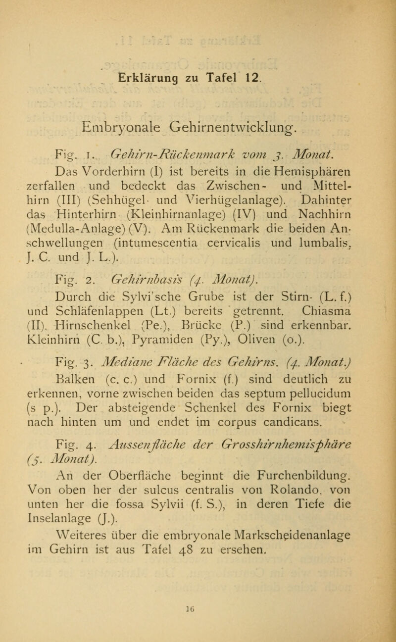 Embryonale Gehirnentwicklung. Fig. I.. Gehirn-Ruckenmark vom j. Mb fiat. Das Vorderhirn (I) ist bereits in die Hemispharen zerfallen und bedeckt das Zwischen- und Mittel- hirn (III) (Sehhiigel- und Vierhiigelanlage). Dahinter das Hinterhirn (Kleinhirnanlage) (IV) und Nachhirn (Medulla-Anlage) (V). Am Ruckenmark die beiden An- schwellungen (intumescentia cervicalis und lumbalis, J. C. und J. L.). Fig. 2. Gehirnbasis (^. Monat). Durch die Sylvi'sche Grube ist der Stirn- (L. f.) und Scblafenlappen (Lt.) bereits getrennt. Chiasma (II). Hirnschenkel (Pe.), Briicke (P.) sind erkennbar. Kleinhirn (C. b.), Pyramiden (Py.), Oliven (o.). Fig. 3. Alediane FIdche des Gehirns. (4.. Monat.) Balkan (c. c.) und P^ornix (f.) sind deutlich zu erkennen, vorne zwischen beiden das septum pellucidum (s p.). Der absteigende Schenkel des Fornix biegt nach hinten um und endet im corpus candicans. Fig. 4. Ausscujlache der Grosshtrnheinis^hdre (j. Afonat). An der Oberflache beginnt die Furchenbildung. Von oben her der sulcus centrahs von Rolando, von unten her die fo.ssa Sylvii (f. S.), in deren Tiefe die Inselanlage (J.). Weiteres iiber die embryonale Markschpidenanlage im Gehirn ist aus Tafel 48 zu ersehen.