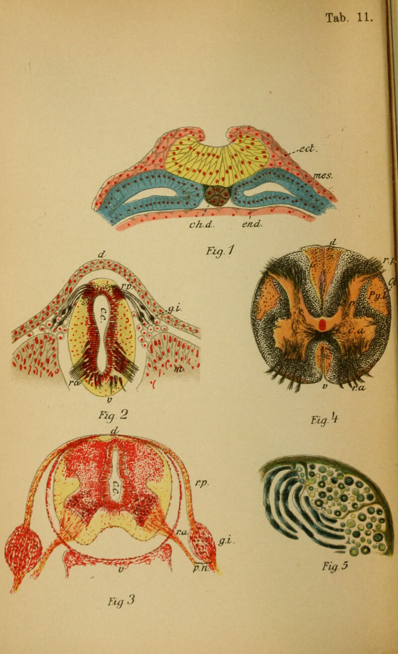 ch.d. end. Fig.1 &*■ Fig.2 KgM Fig-5