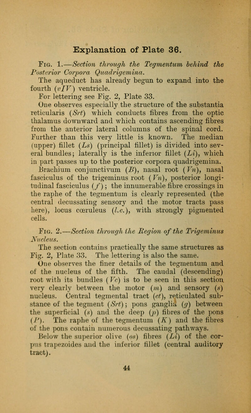 Fig. 1.—Section through the Tegmentum behind the Posterior Corpora Quadrigemina. The aqueduct has already begun to expand into the fourth (oIV) ventricle. For lettering see Fig. 2, Plate 33. One observes especially the structure of the substantia reticularis (Srt) which conducts fibres from the optic thalamus downward and which contains ascending fibres from the anterior lateral columns of the spinal cord. Further than this very little is known. The median (upper) fillet (Ls) (principal fillet) is divided into sev- eral bundles; laterally is the inferior fillet (Li), which in part passes up to the posterior corpora quadrigemina. Brachium conjunctivum (B), nasal root (Vn), nasal fasciculus of the trigeminus root (Vn), posterior longi- tudinal fasciculus (/); the innumerable fibre crossings in the raphe of the tegmentum is clearly represented (the central decussating sensory and the motor tracts pass here), locus coeruleus (I.e.), with strongly pigmented cells. Fig. 2.—Section through the Region of the Trigeminus Nucleus. The section contains practically the same structures as Fig. 2, Plate 33. The lettering is also the same. One observes the finer details of the tegmentum and of the nucleus of the fifth. The caudal (descending) root with its bundles (Vc) is to be seen in this section very clearly between the motor (m) and sensory (s) nucleus. Central tegmental tract (ct), reticulated sub- stance of the tegment (Srt); pons ganglia (g) between the superficial (*) and the deep (p) fibres of the pons (/'). The raphe of the tegmentum (A') and the fibres of the pons contain numerous decussating pathways. Below the superior olive (os) fibres (Li) of the cor- pufl trapezoidea and tin; inferior fi 1 let (central auditory tract). 44
