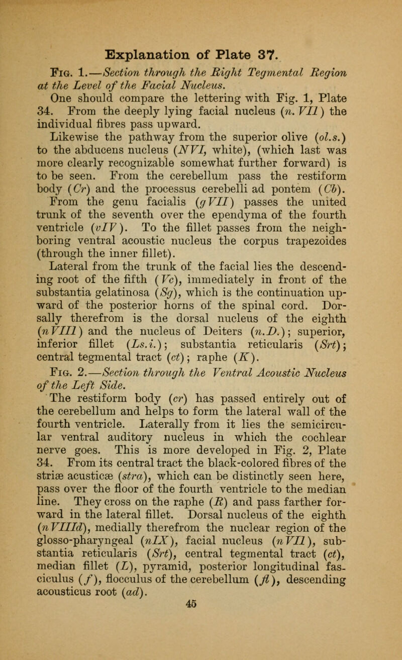 Fig. 1.—Section through the Might Tegmental Region at the Level of the Facial Nucleus. One should compare the lettering with Fig. 1, Plate 34. From the deeply lying facial nucleus (n. VII) the individual fibres pass upward. Likewise the pathway from the superior olive (ol.s.) to the abducens nucleus (NVI, white), (which last was more clearly recognizable somewhat further forward) is to be seen. From the cerebellum pass the restiform body (Or) and the processus cerebelli ad pontem (Cb). From the genu facialis (gVII) passes the united trunk of the seventh over the ependyma of the fourth ventricle (vIV). To the fillet passes from the neigh- boring ventral acoustic nucleus the corpus trapezoides (through the inner fillet). Lateral from the trunk of the facial lies the descend- ing root of the fifth (Vc), immediately in front of the substantia gelatinosa (Sg), which is the continuation up- ward of the posterior horns of the spinal cord. Dor- sally therefrom is the dorsal nucleus of the eighth (nVIIl) and the nucleus of Deiters (n.D.); superior, inferior fillet (Ls.i.); substantia reticularis {Srt)\ central tegmental tract (ct); raphe (K). Fig. 2.—Section through the Ventral Acoustic Nucleus of the Left Side. The restiform body (cr) has passed entirely out of the cerebellum and helps to form the lateral wall of the fourth ventricle. Laterally from it lies the semicircu- lar ventral auditory nucleus in which the cochlear nerve goes. This is more developed in Fig. 2, Plate 34. From its central tract the black-colored fibres of the striae acusticse (stra), which can be distinctly seen here, pass over the floor of the fourth ventricle to the median line. They cross on the raphe (B) and pass farther for- ward in the lateral fillet. Dorsal nucleus of the eighth (nVIIId), medially therefrom the nuclear region of the glossopharyngeal (nIX), facial nucleus (nVIl), sub- stantia reticularis (Srt), central tegmental tract (ct), median fillet (L), pyramid, posterior longitudinal fas- ciculus (/), flocculus of the cerebellum (fi), descending acousticus root (ad). 45