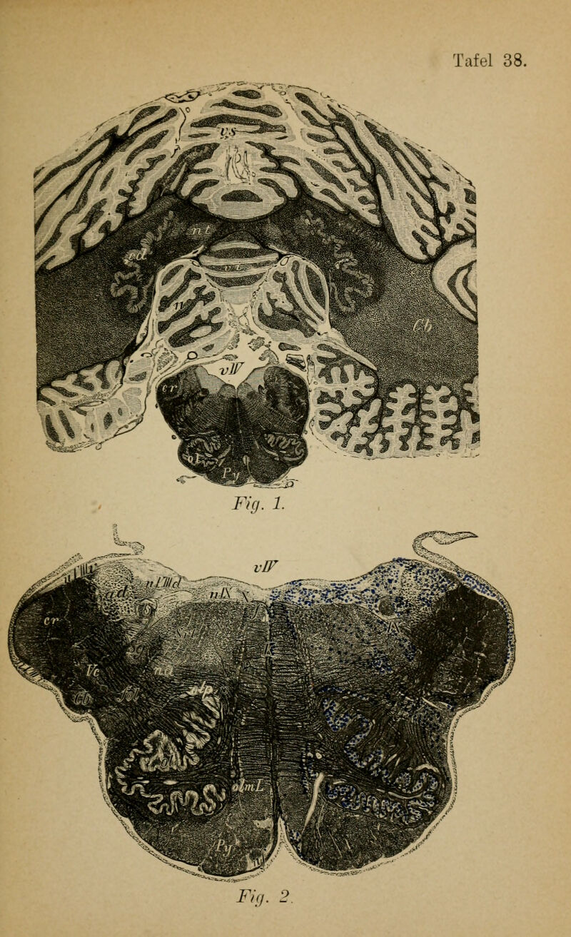 Fig. 1. Fig. 2