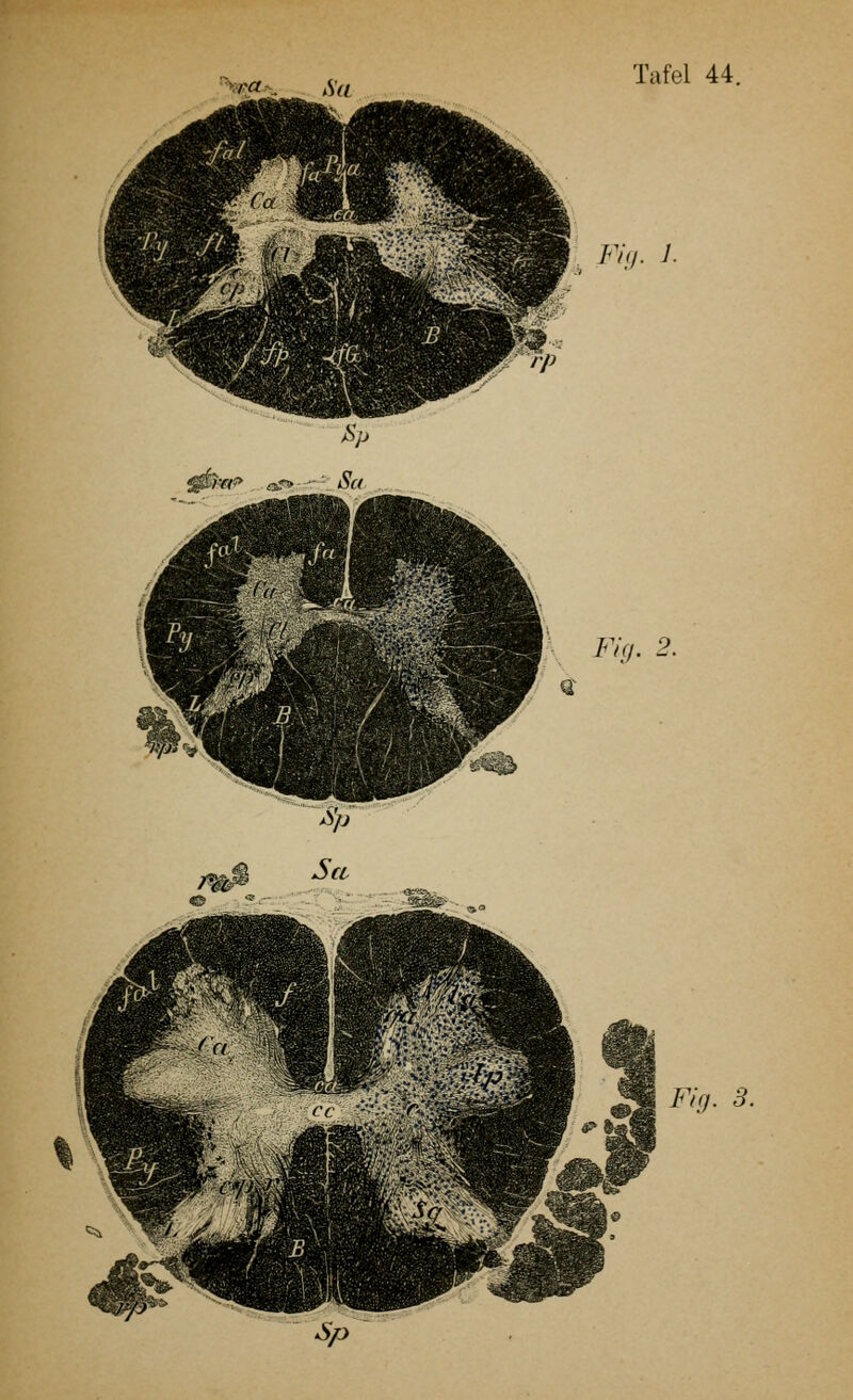 **&** Sa FYa. 1. Ffjr. 2.