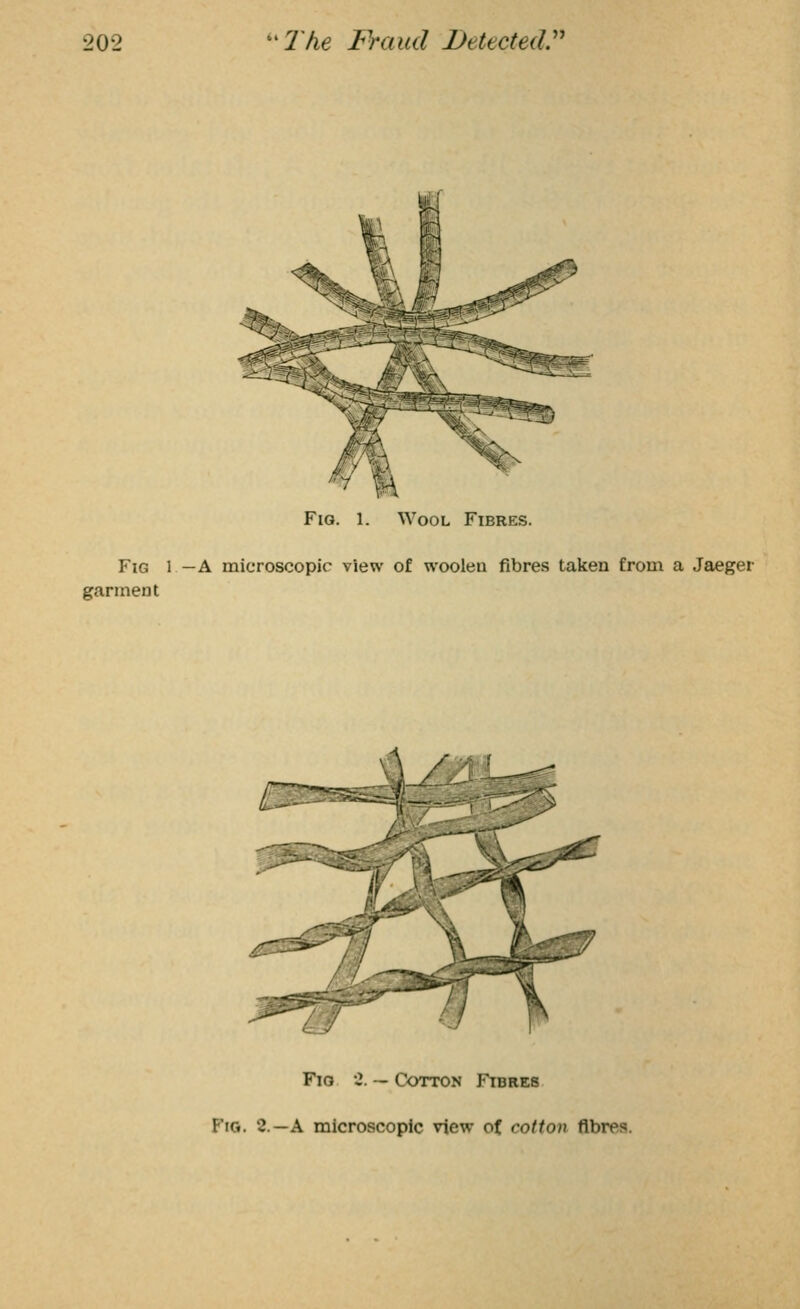 Fig. 1. Wool Fibres. Fig 1 —A microscopic view of woolen fibres taken from a Jaeger garment \ / Fio 2. — Cotton Fibres